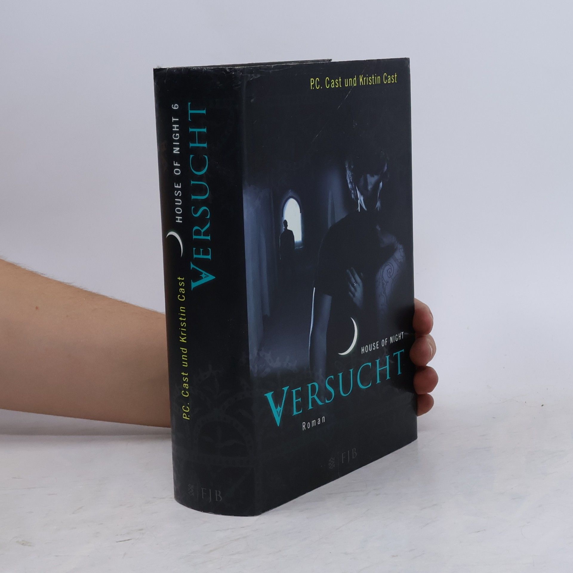 House of Night 6. Versucht