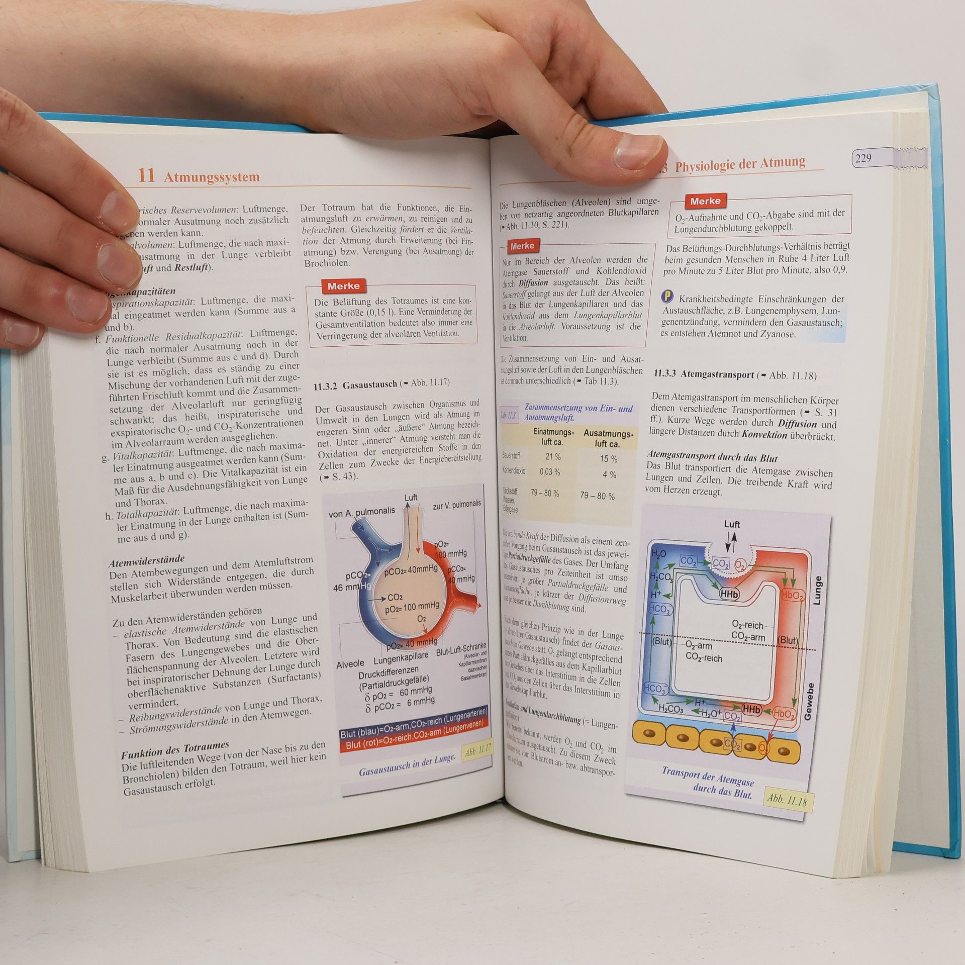 Martin Trebsdorf Biologie, Anatomie, Physiologie