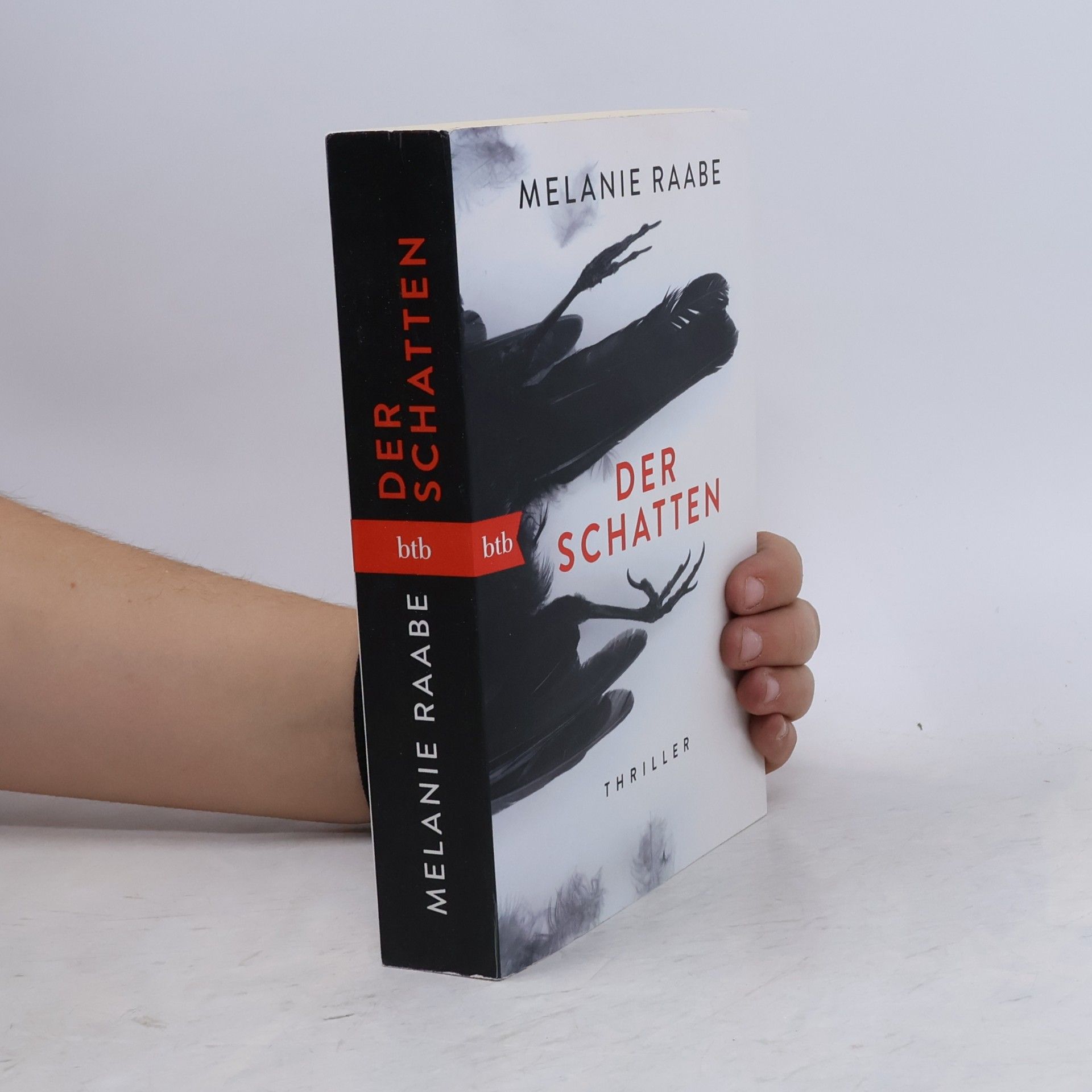 Melanie Raabe Der Schatten