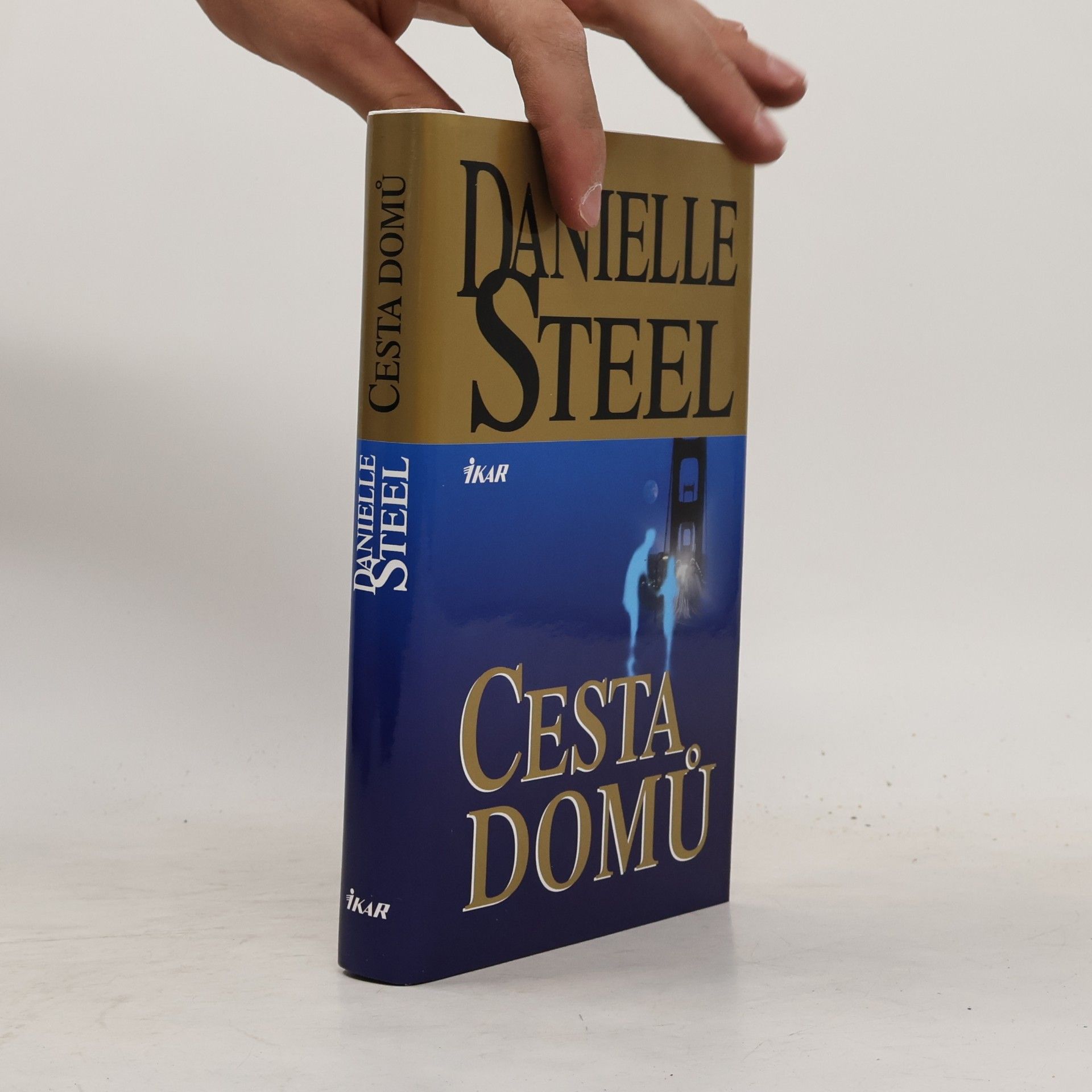 Danielle Steel Cesta domů