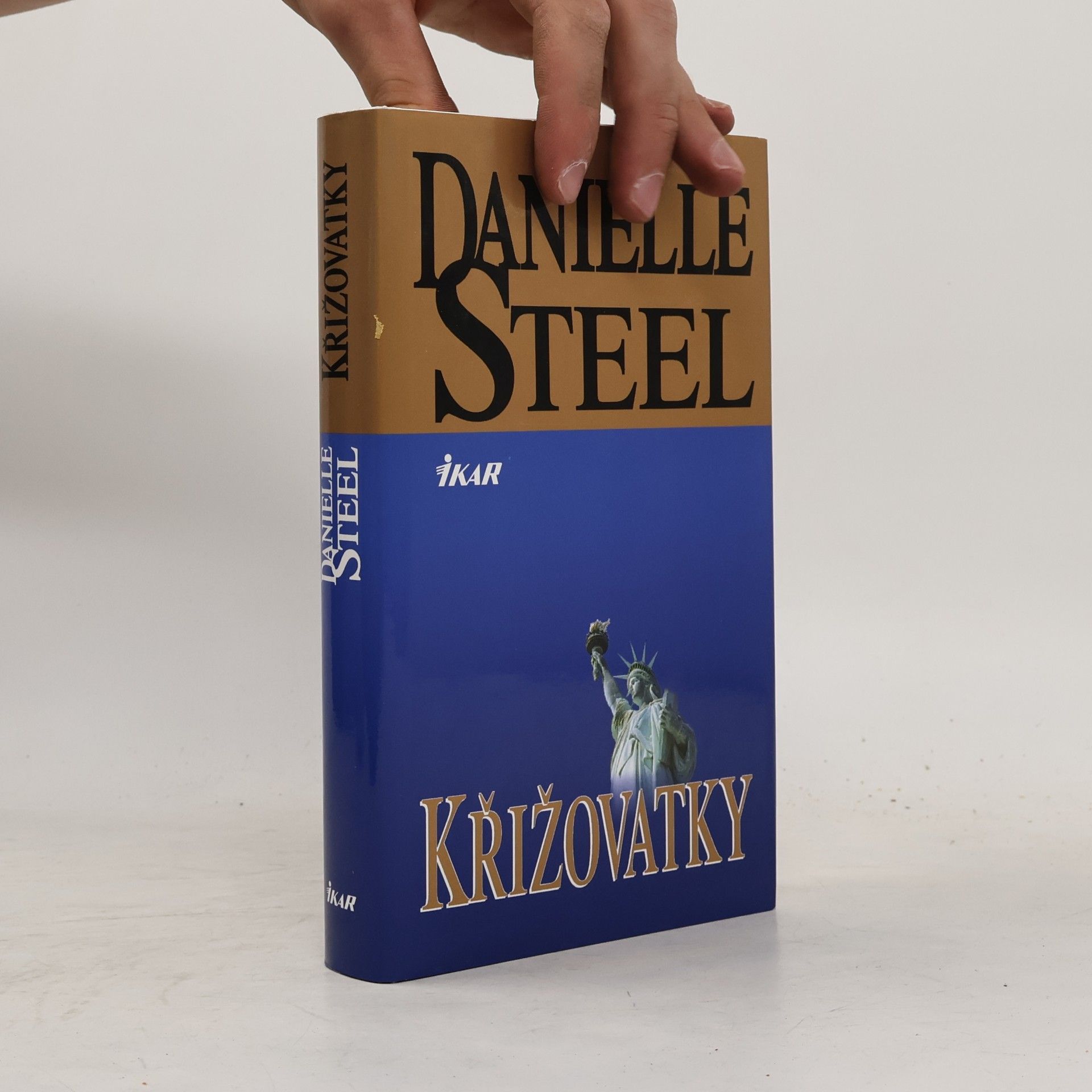 Danielle Steel Křižovatky