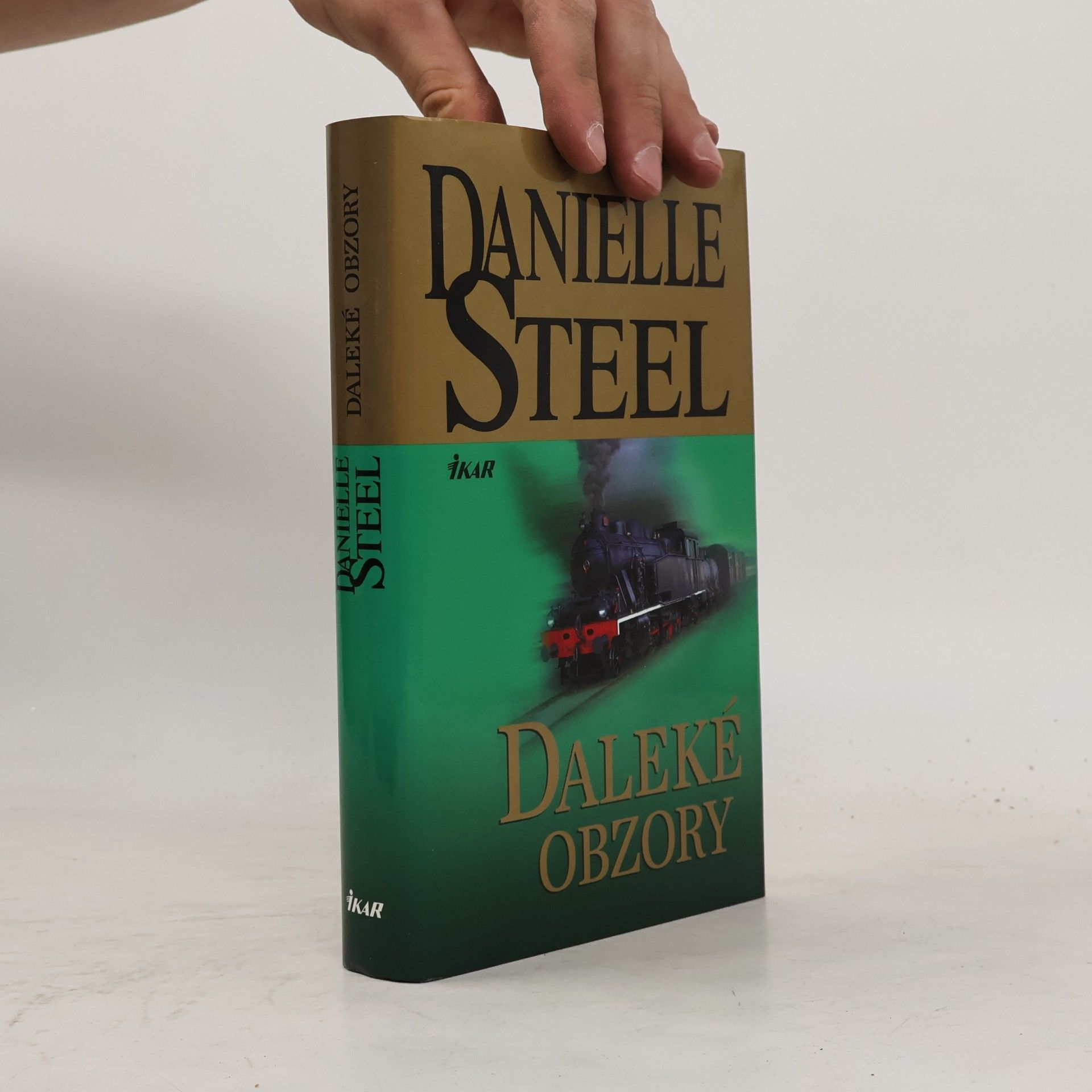 Danielle Steel Daleké obzory