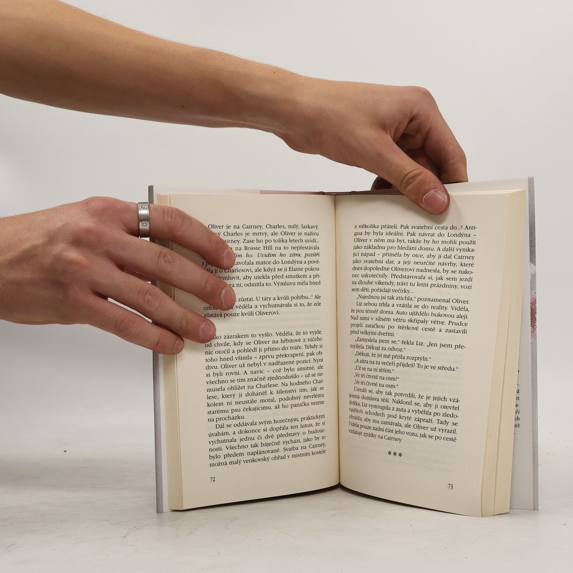 Rosamunde Pilcher Jarní vánice