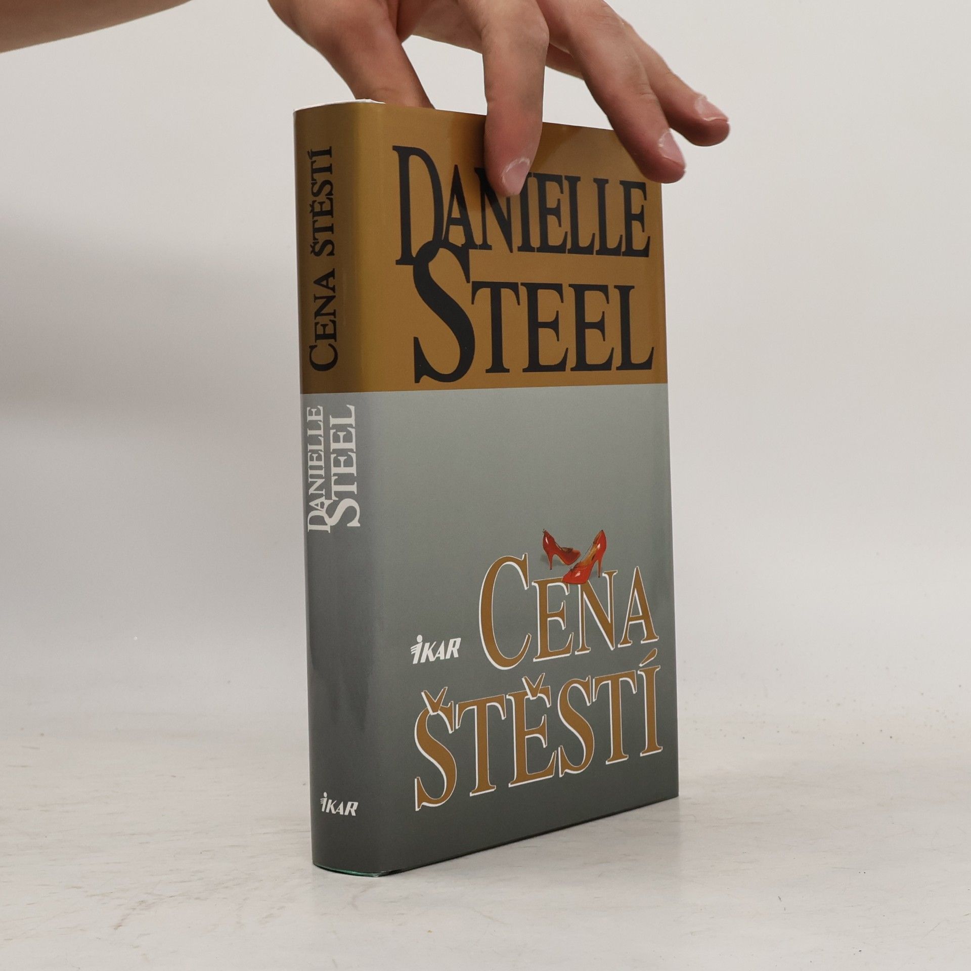 Danielle Steel Cena štěstí