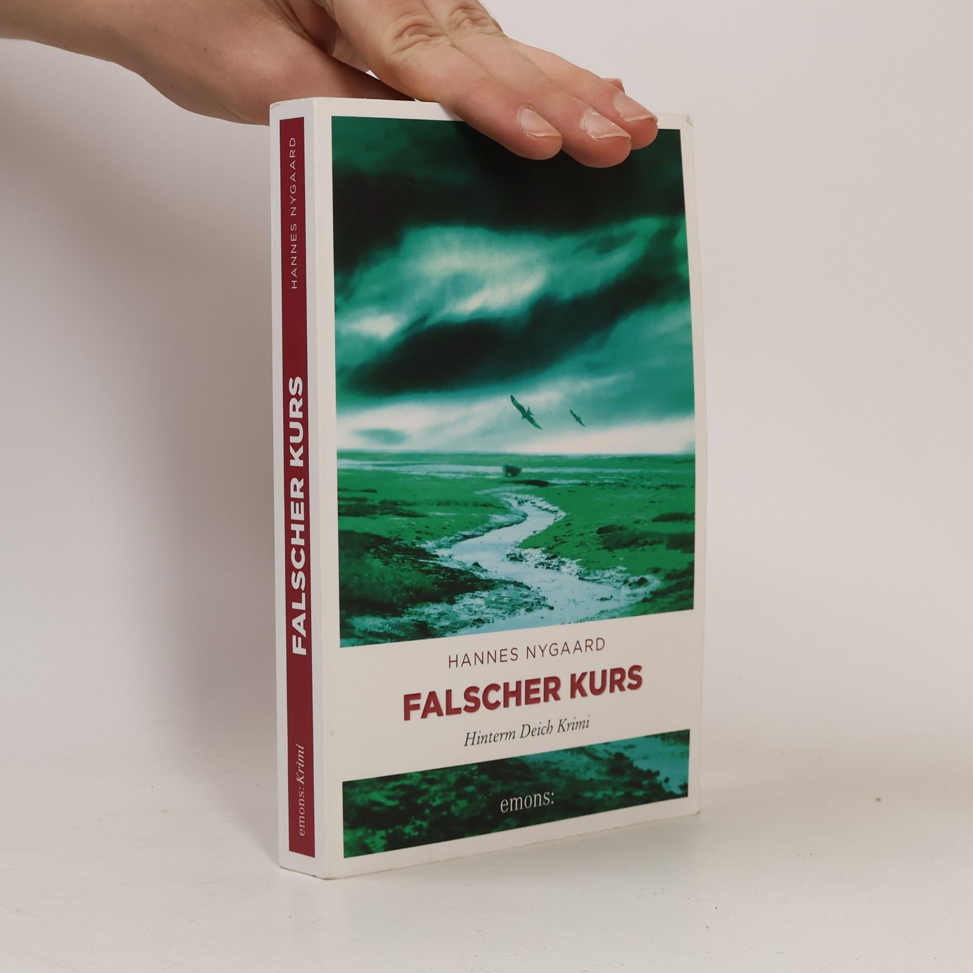 Hannes Nygaard Falscher Kurs