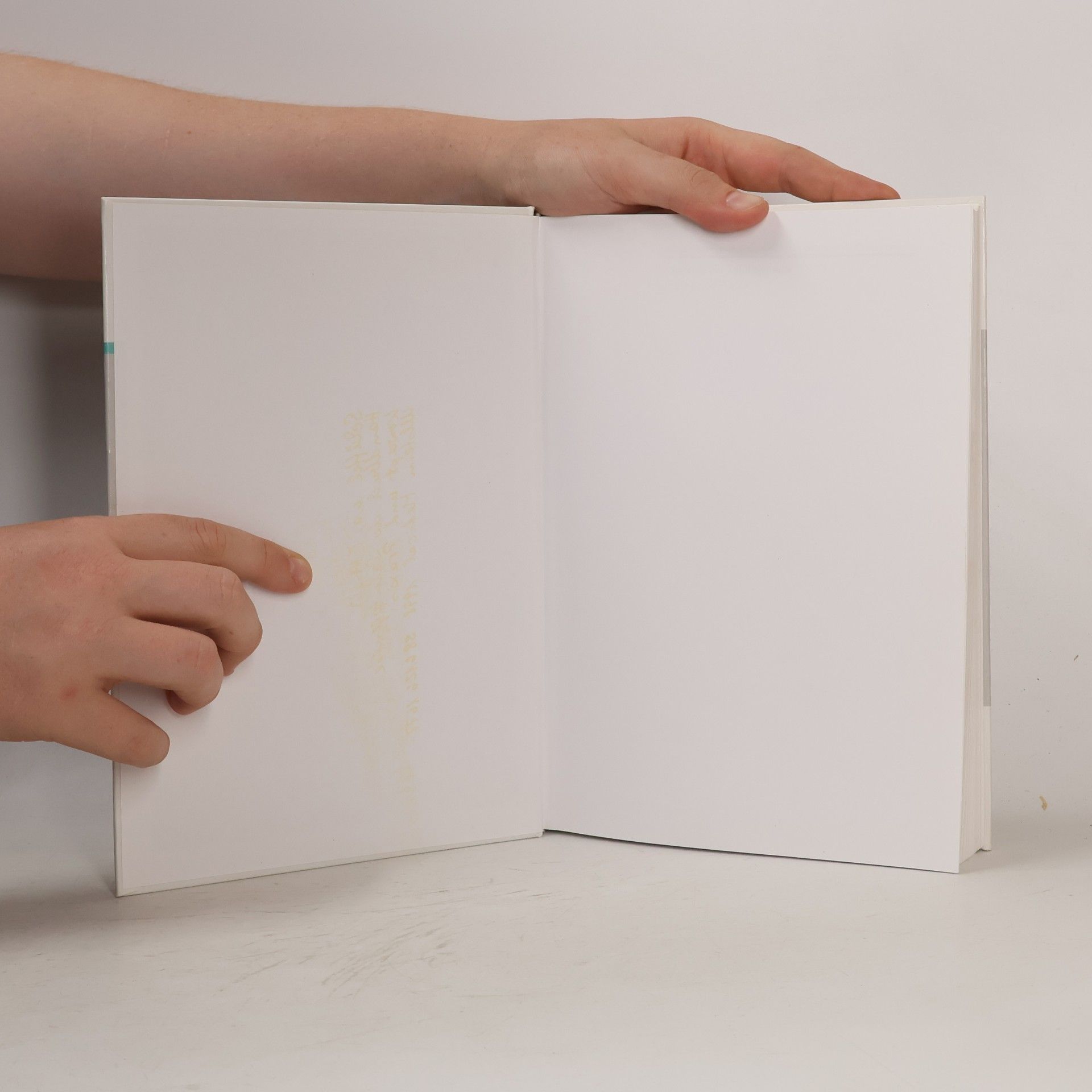 Wolfram Schüffel Handbuch der Salutogenese
