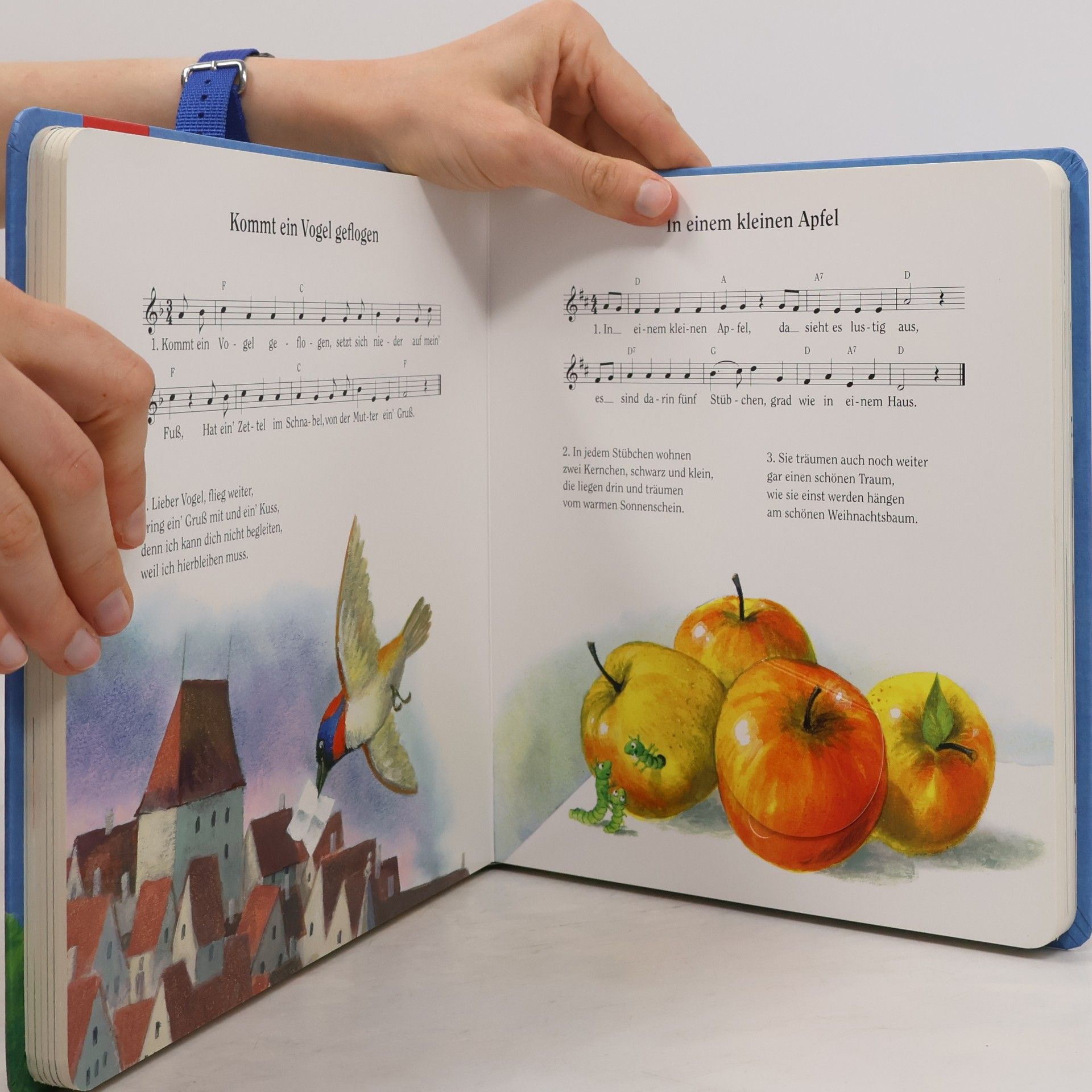 Ulises Wensell Kinderzimmerbibliothek: Meine liebsten Kinderlieder