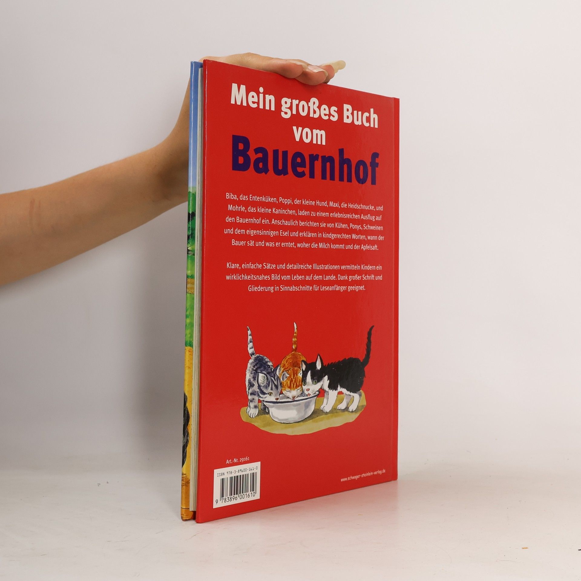 Ingrid Pabst Mein großes Buch vom Bauernhof