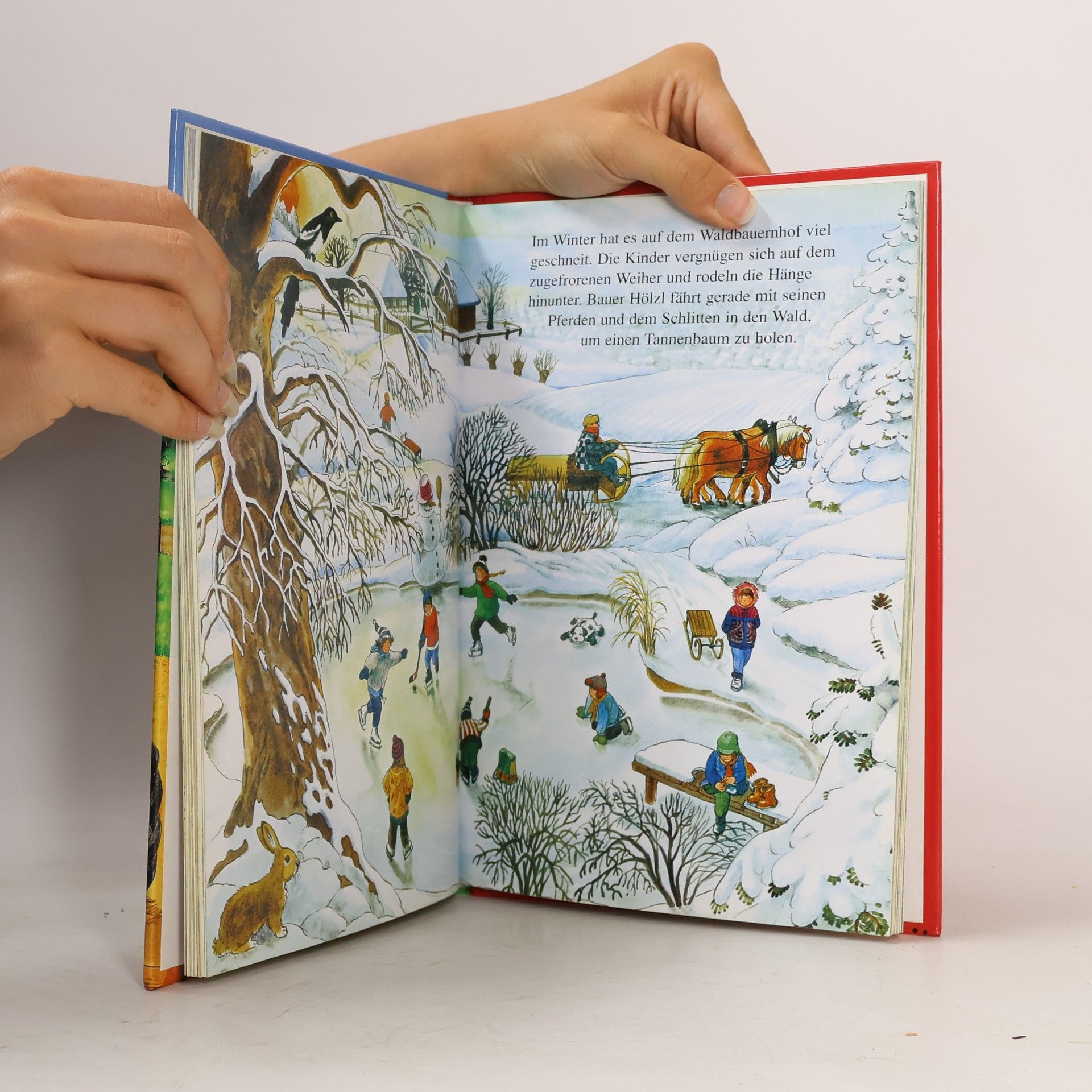 Ingrid Pabst Mein großes Buch vom Bauernhof