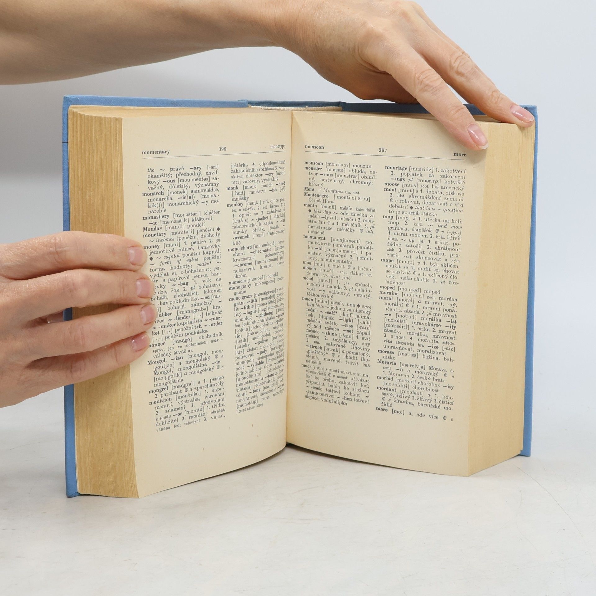 Autorenkollektiv Anglicko-český a česko-anglický slovník