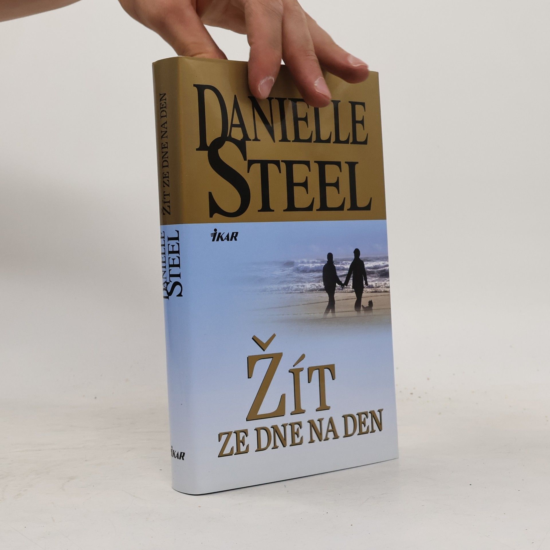 Danielle Steel Žít ze dne na den
