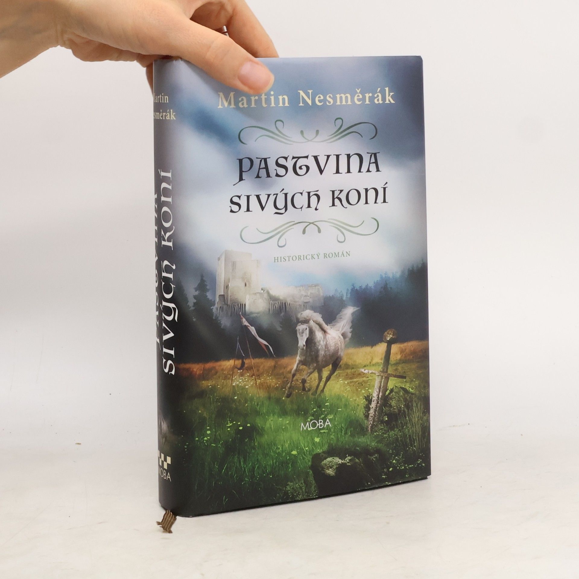 Martin Nesměrák Pastvina sivých koní