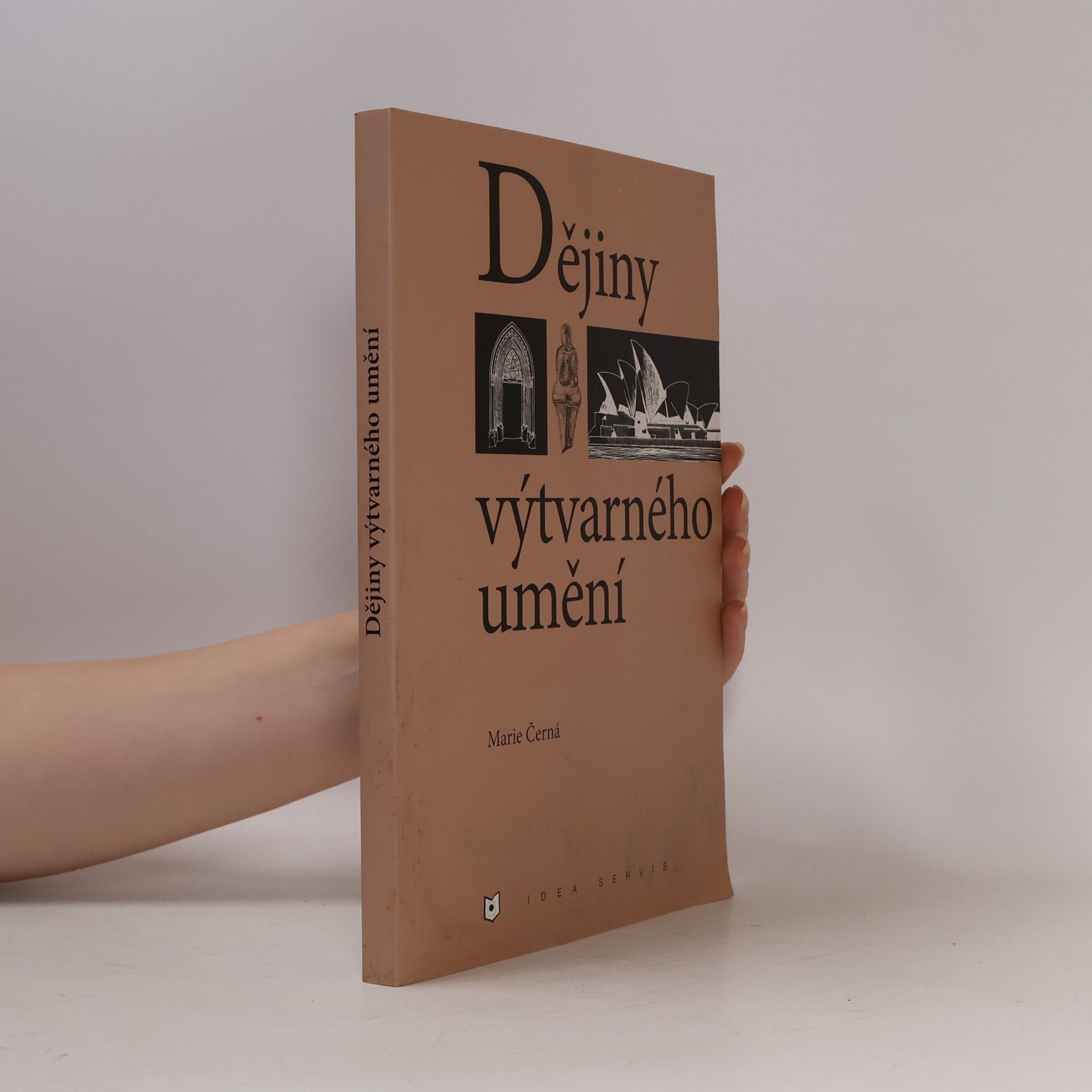 Marie Černá Dějiny výtvarného umění