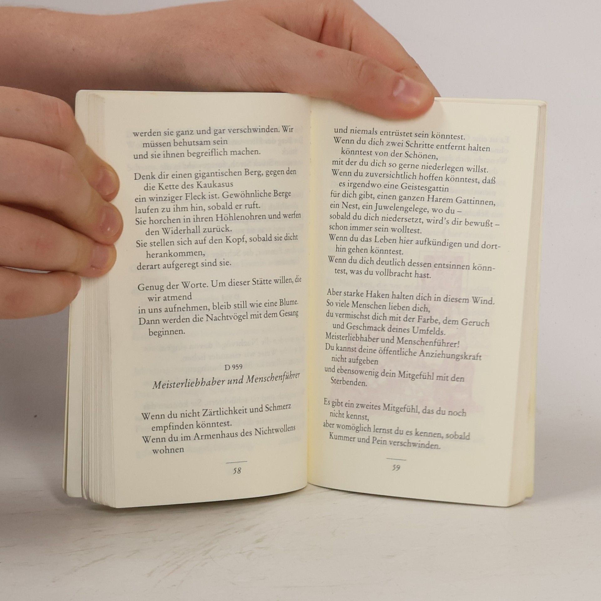 Dschelaleddin Rumi Offenes Geheimnis. Eine Auswahl aus seinem poetischen Werk