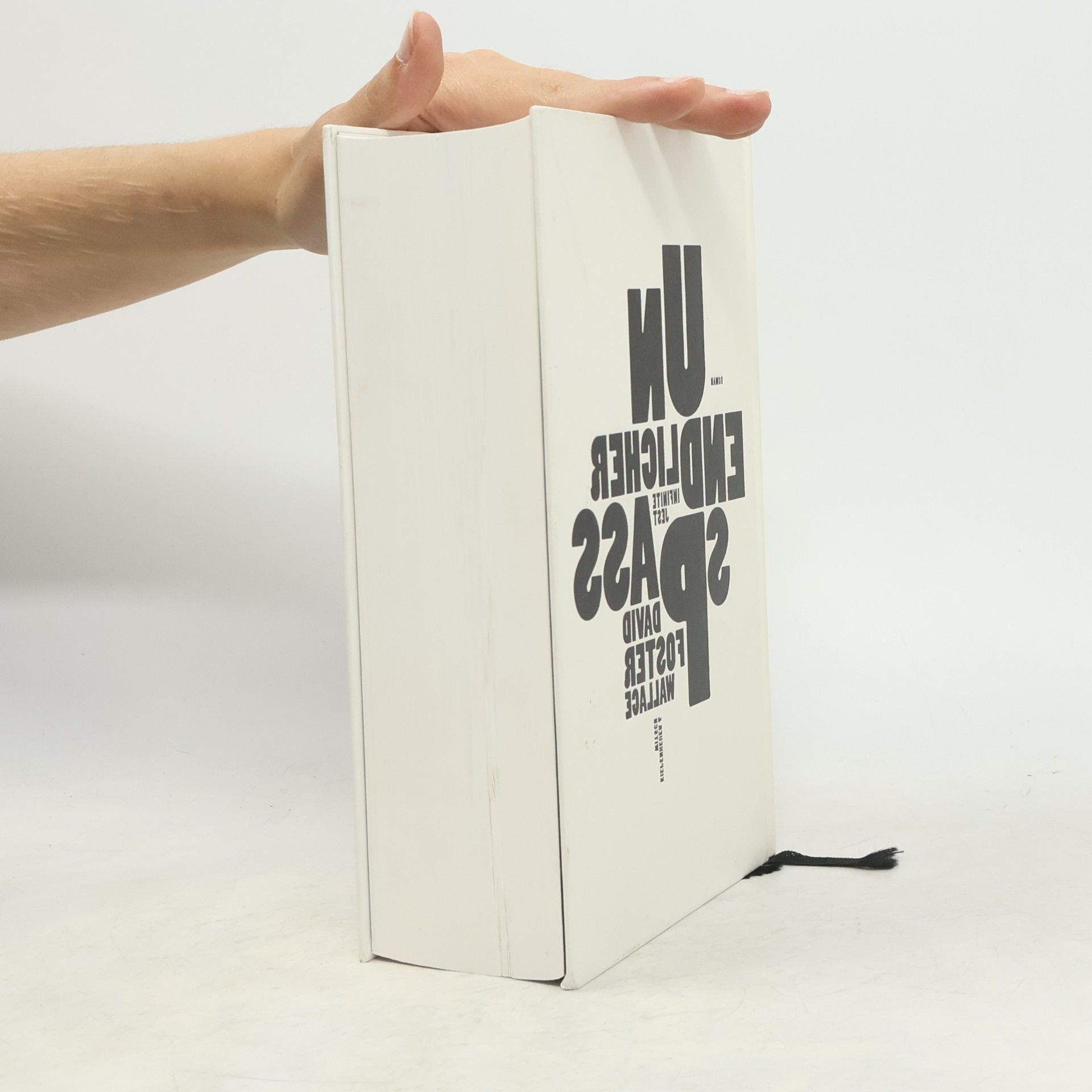David Foster Wallace Unendlicher Spaß