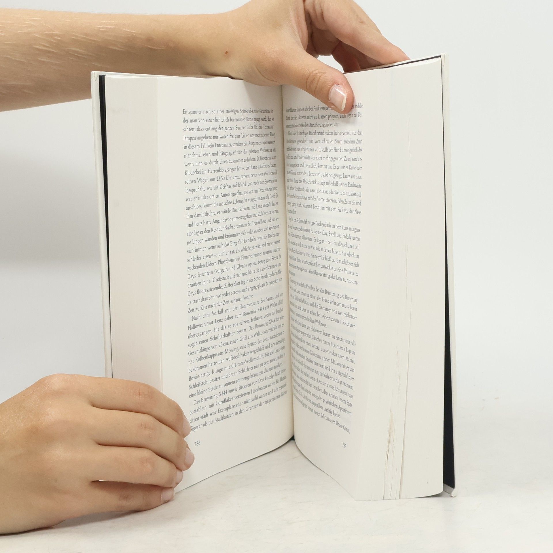 David Foster Wallace Unendlicher Spaß