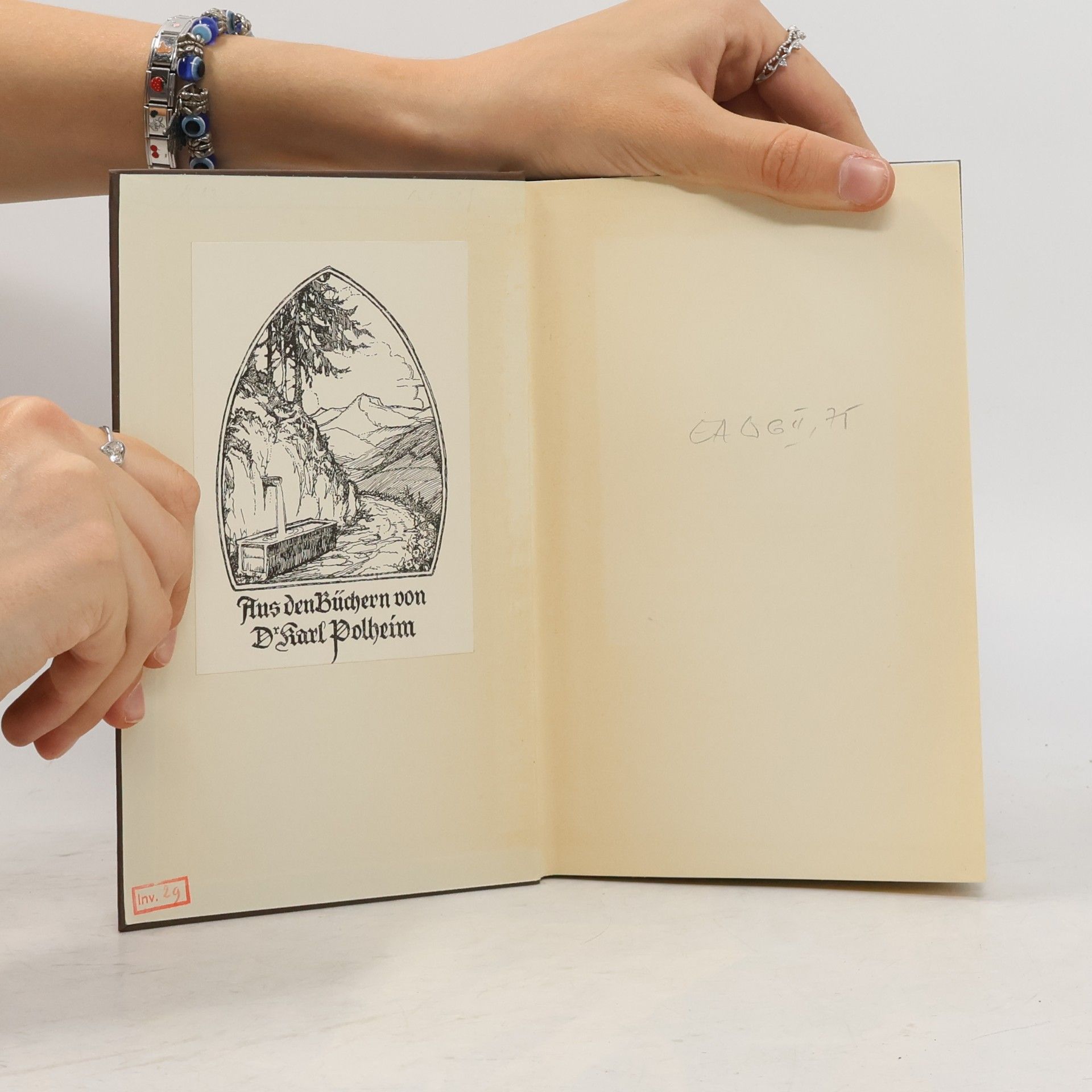 Gerhart Hauptmann Buch der Leidenschaft 1-2
