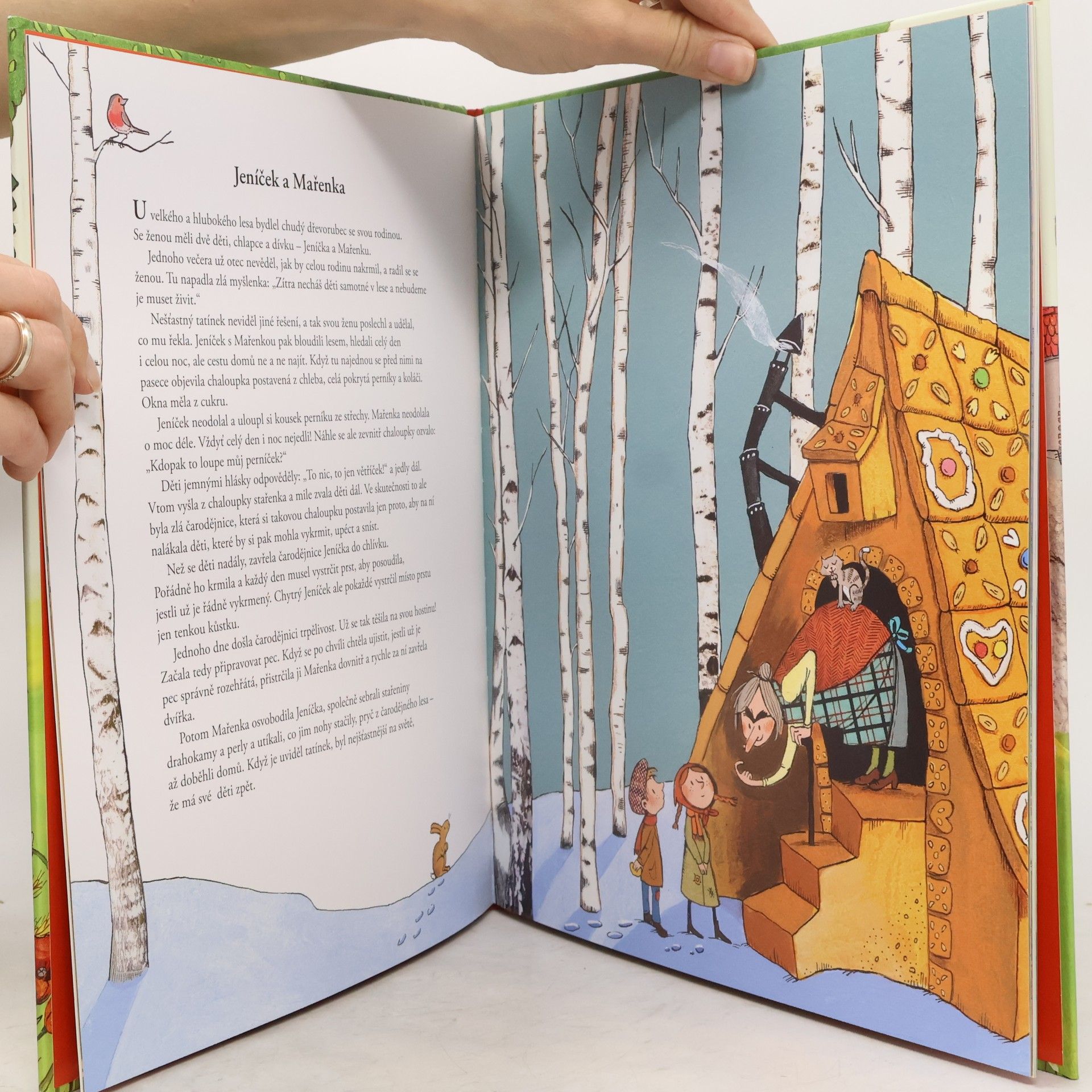 Jacob Grimm Nejznámější pohádky bratří Grimmů