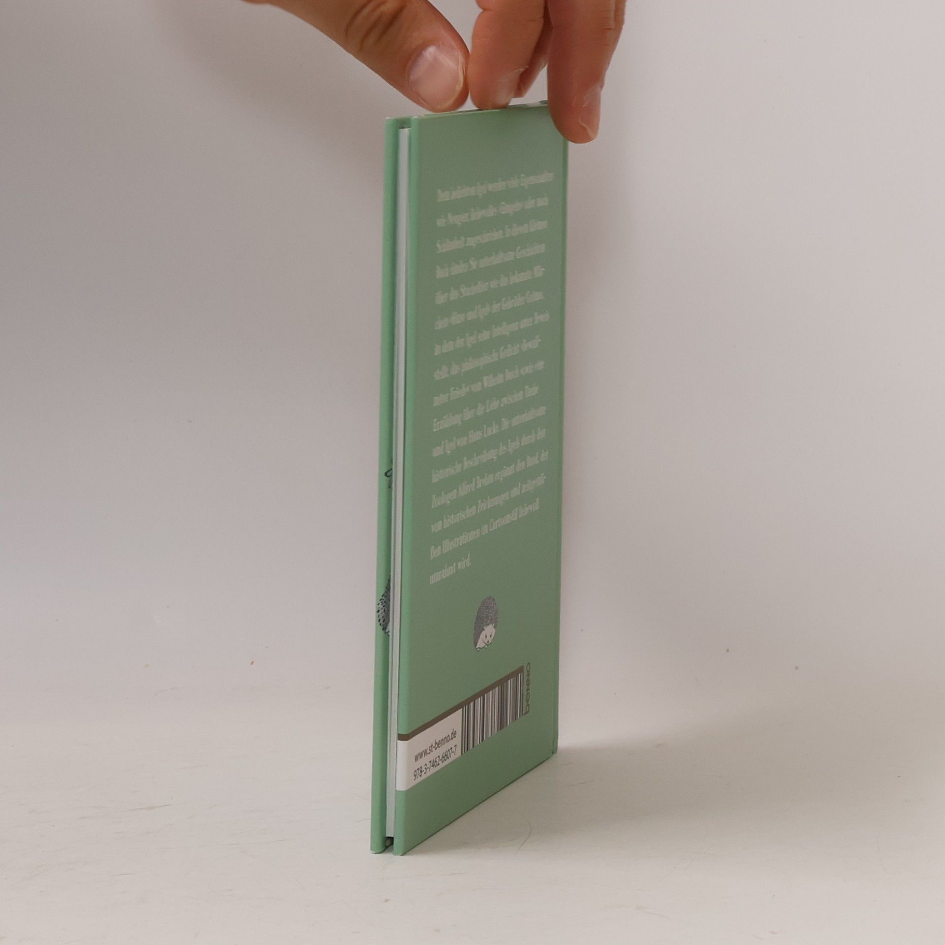 Autorenkollektiv Das kleine Igel-Buch. Heitere Geschichten