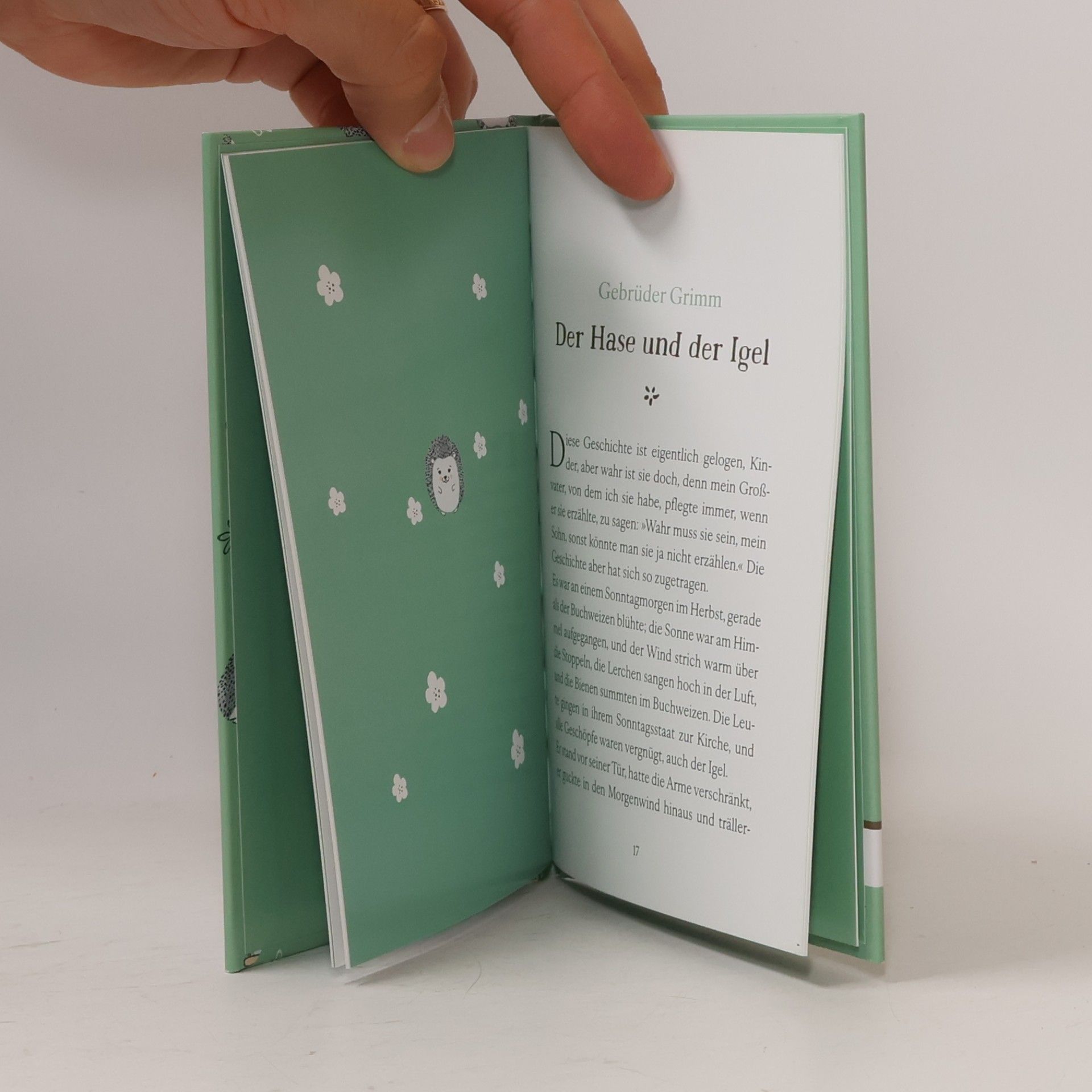 Autorenkollektiv Das kleine Igel-Buch. Heitere Geschichten