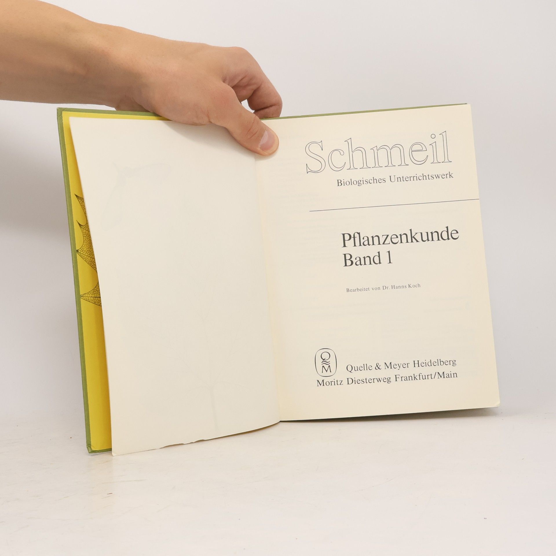 Hansjoachim W. Koch Pflanzenkunde 1