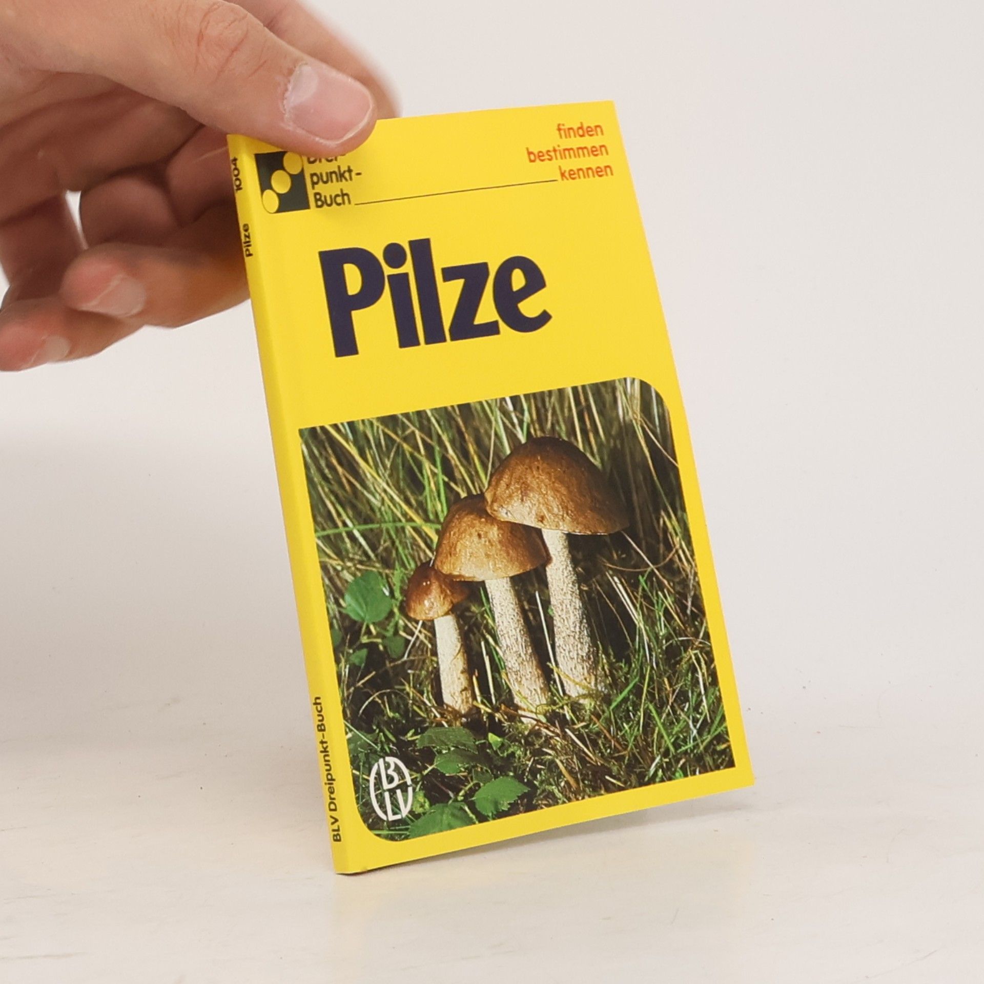 Alfred Handel Pilze