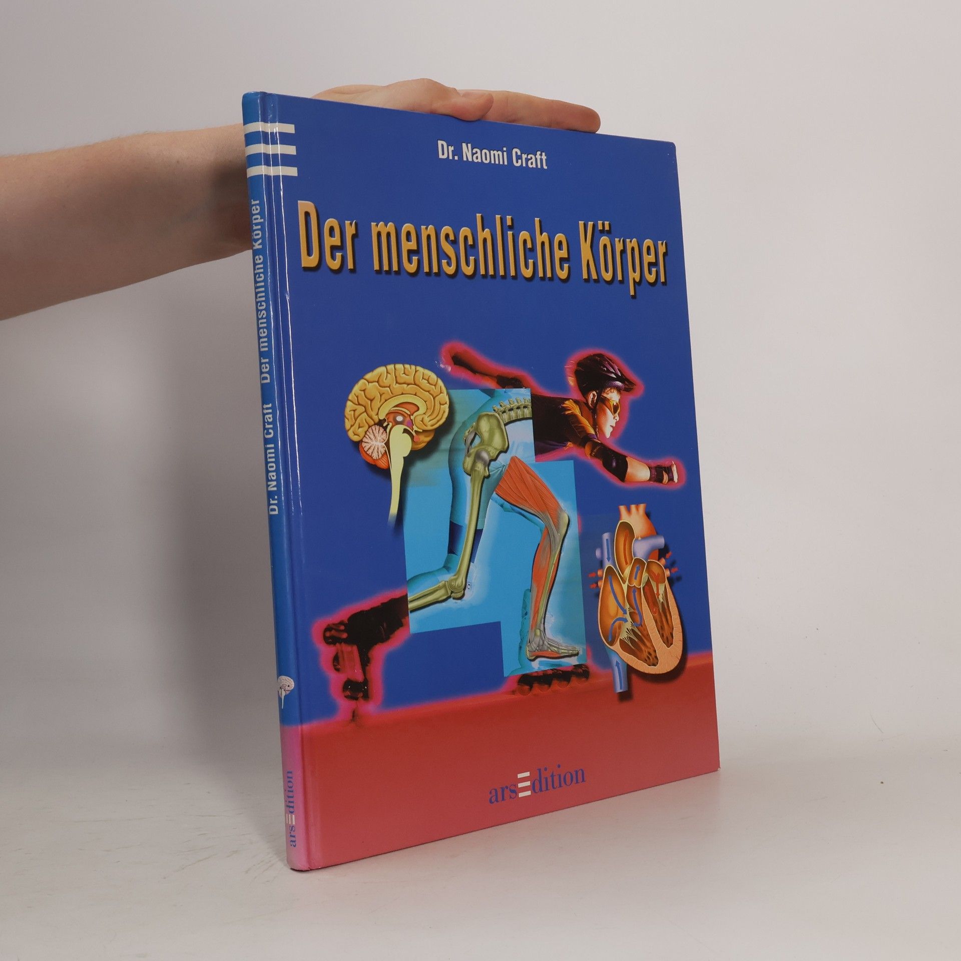 Der menschliche Körper