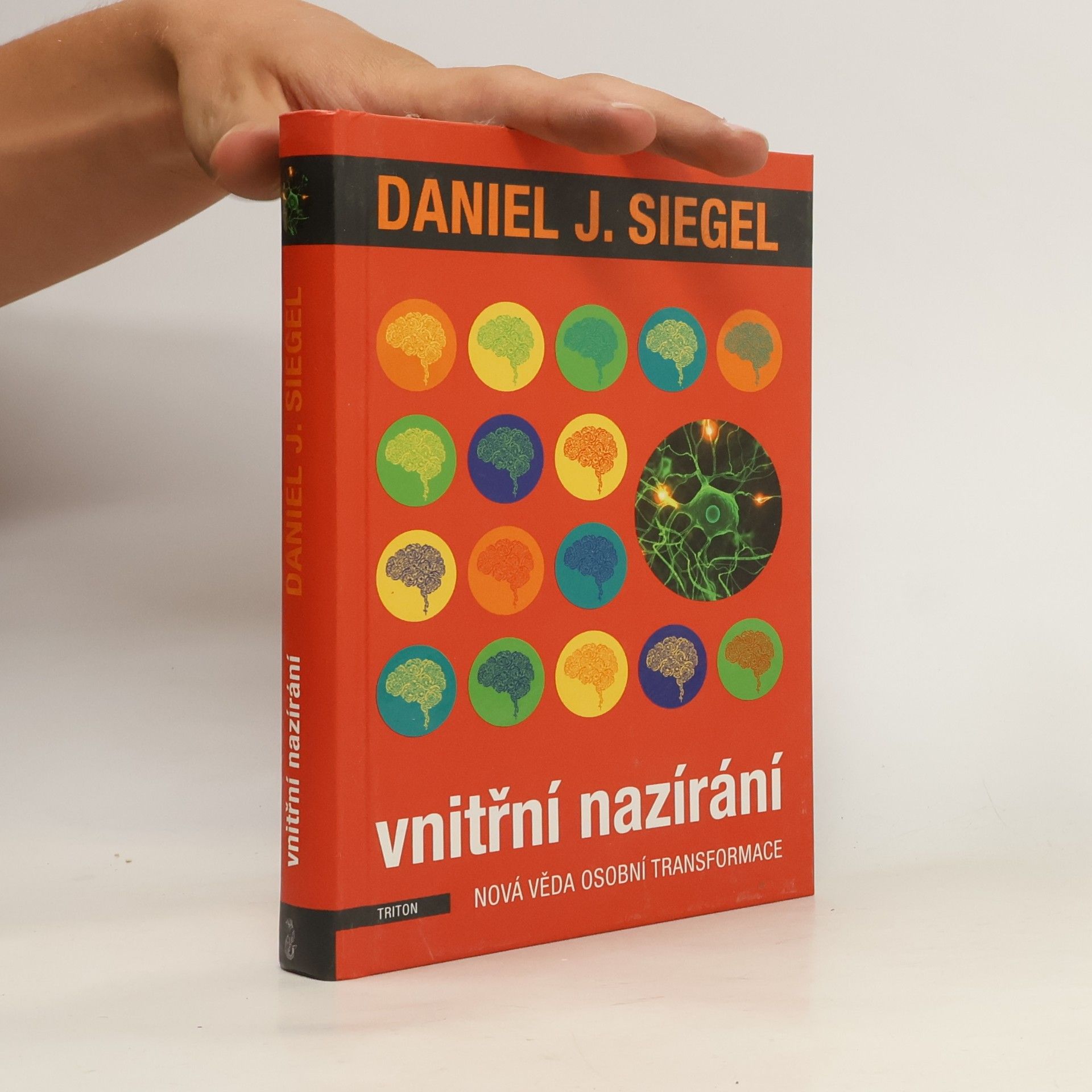 Daniel J. Siegel Vnitřní nazírání