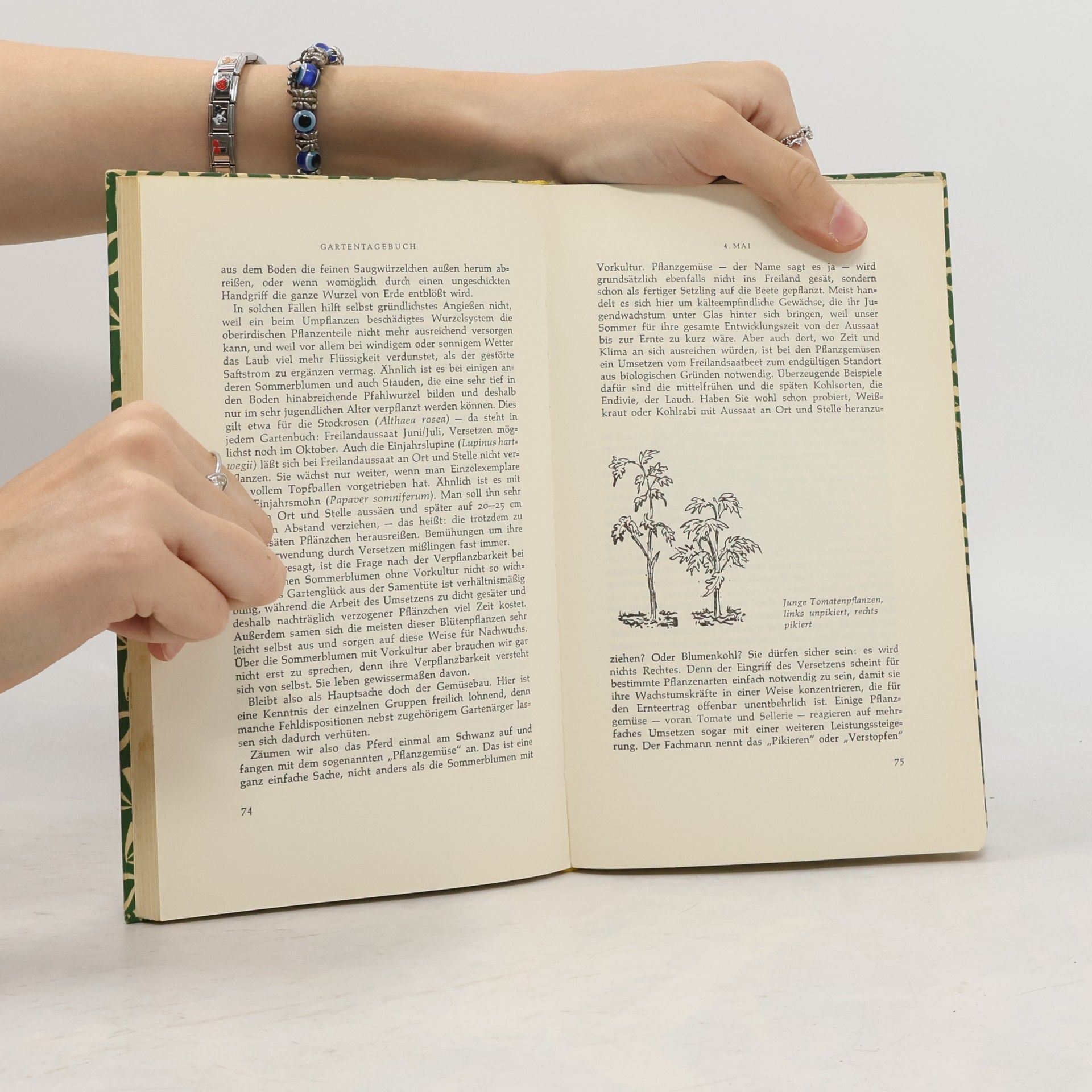 Margot Schubert Aus meinem Gartentagebuch