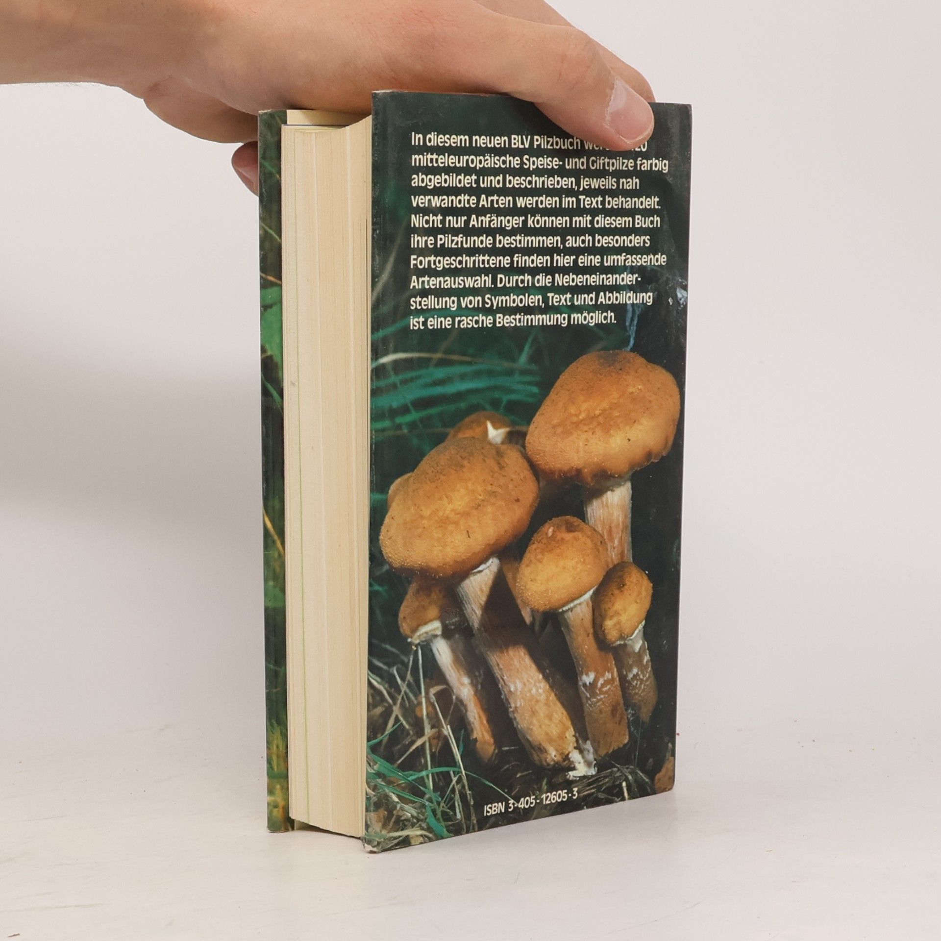Giovanni Pacioni Das neue BLV-Pilzbuch