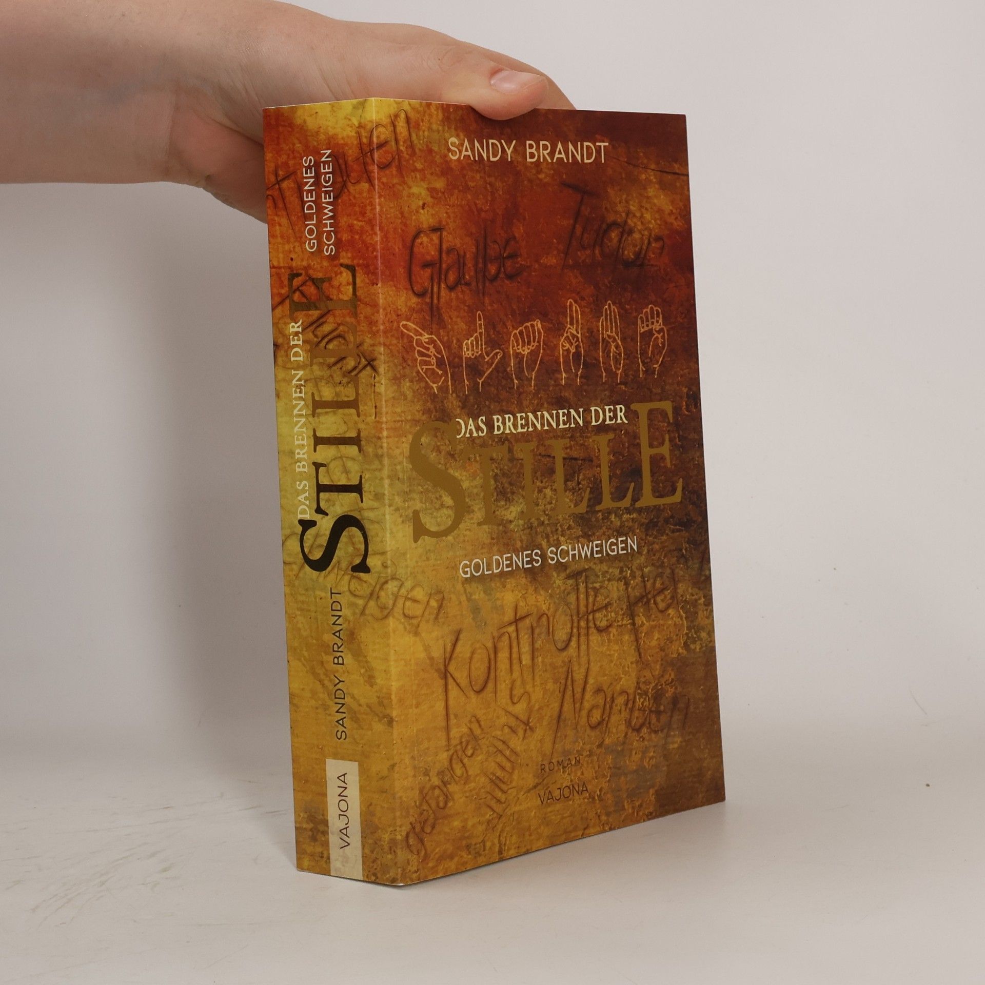 Sandy Brandt DAS BRENNEN DER STILLE - Goldenes Schweigen (Band 1)