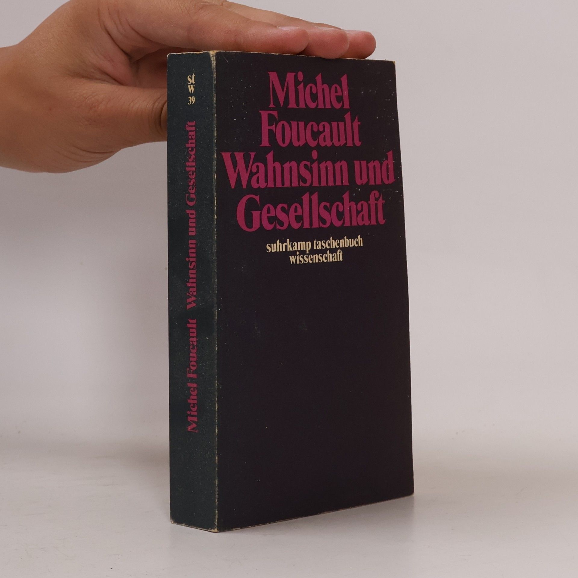 Michel Foucault Wahnsinn und Gesellschaft