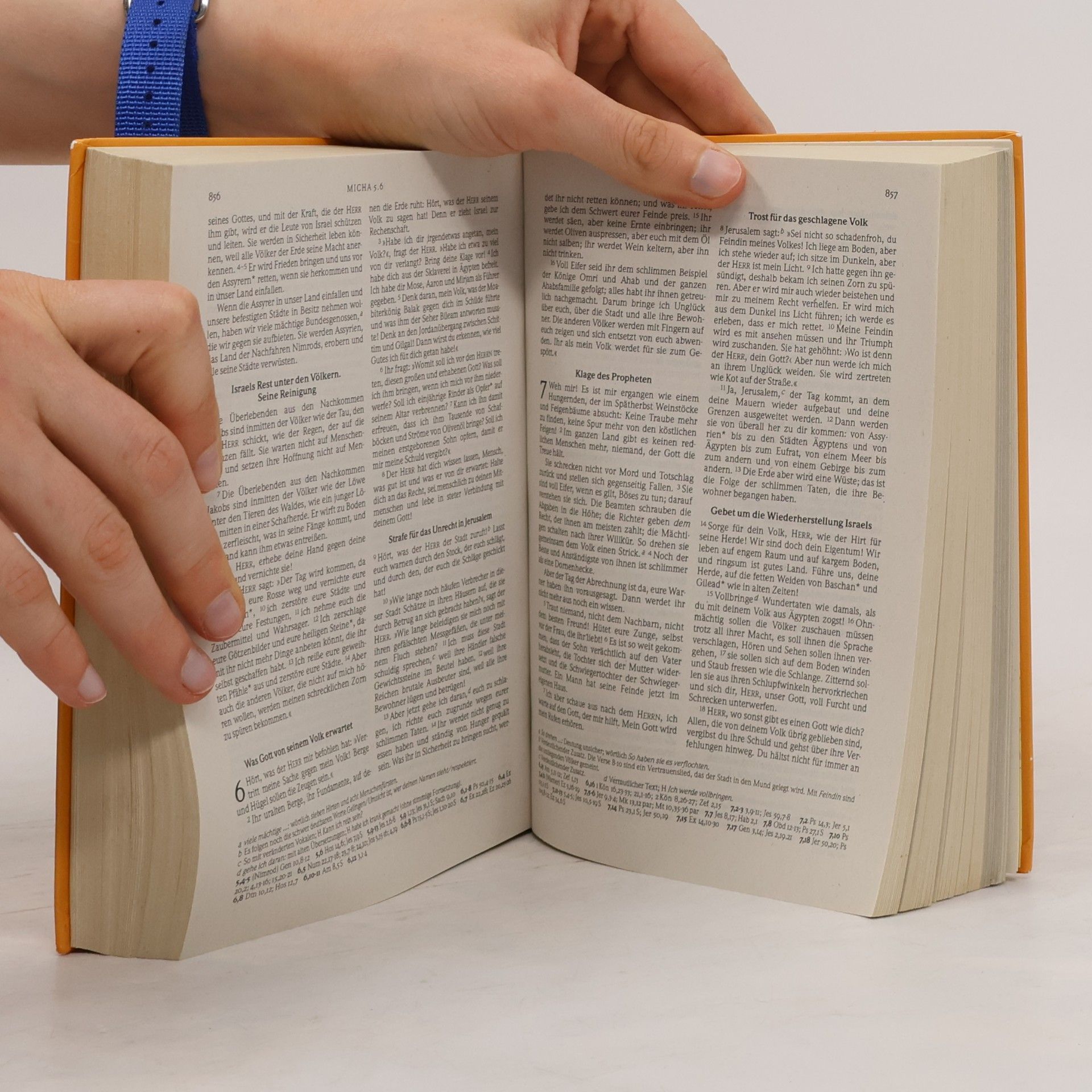 Various authors Gute-Nachricht-Bibel