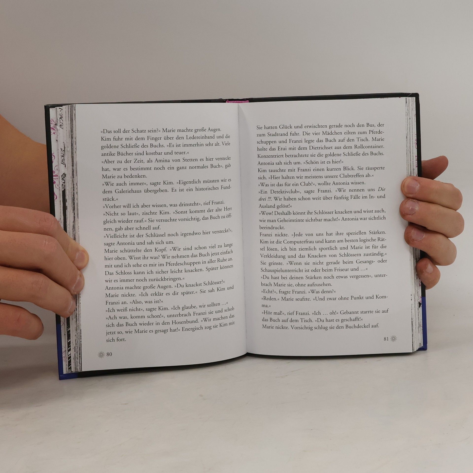 Mira Sol Die drei !!! - das geheime Buch