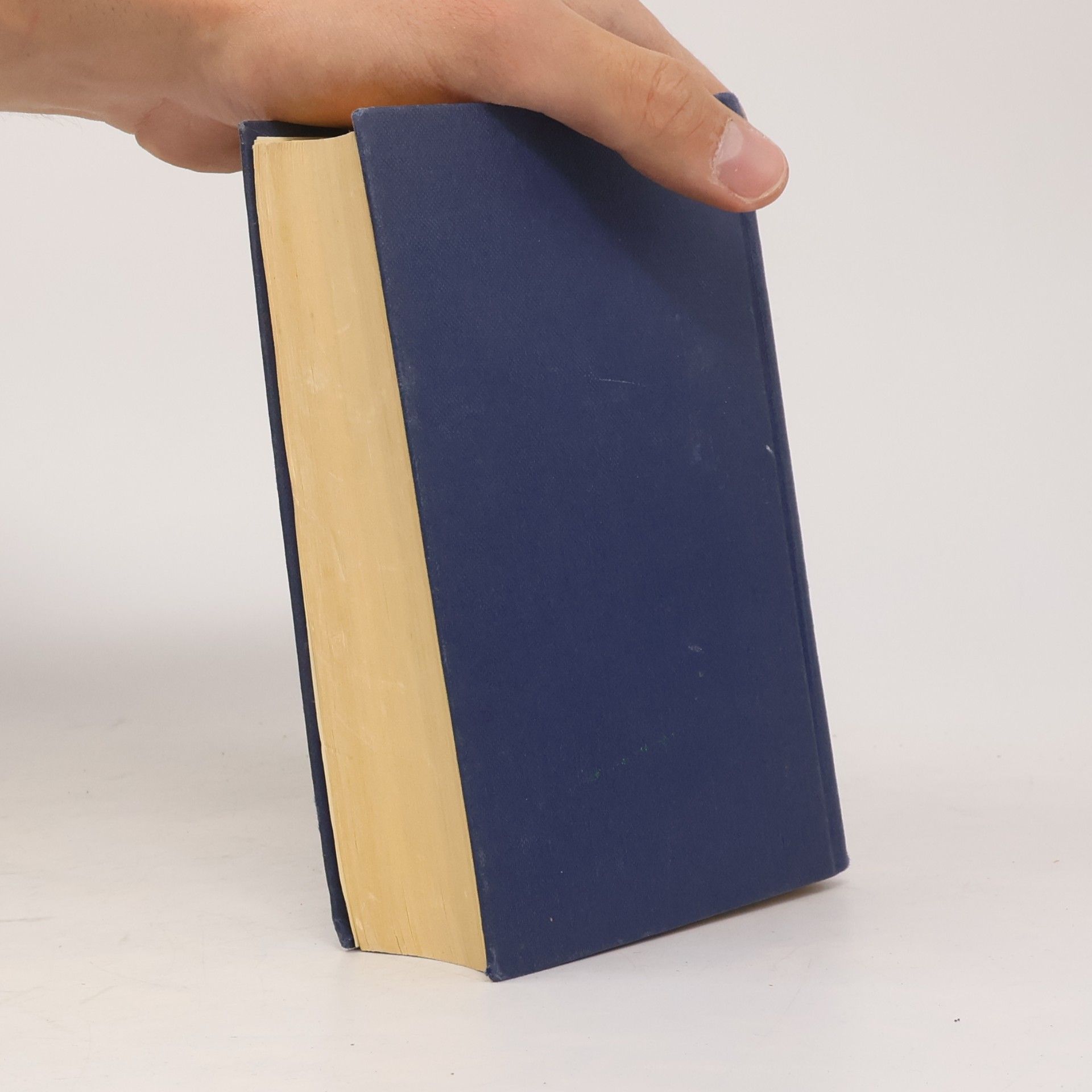 Martin Luther Die Bibel oder Die ganze Heilige Schrift des Alten und Neuen Testaments