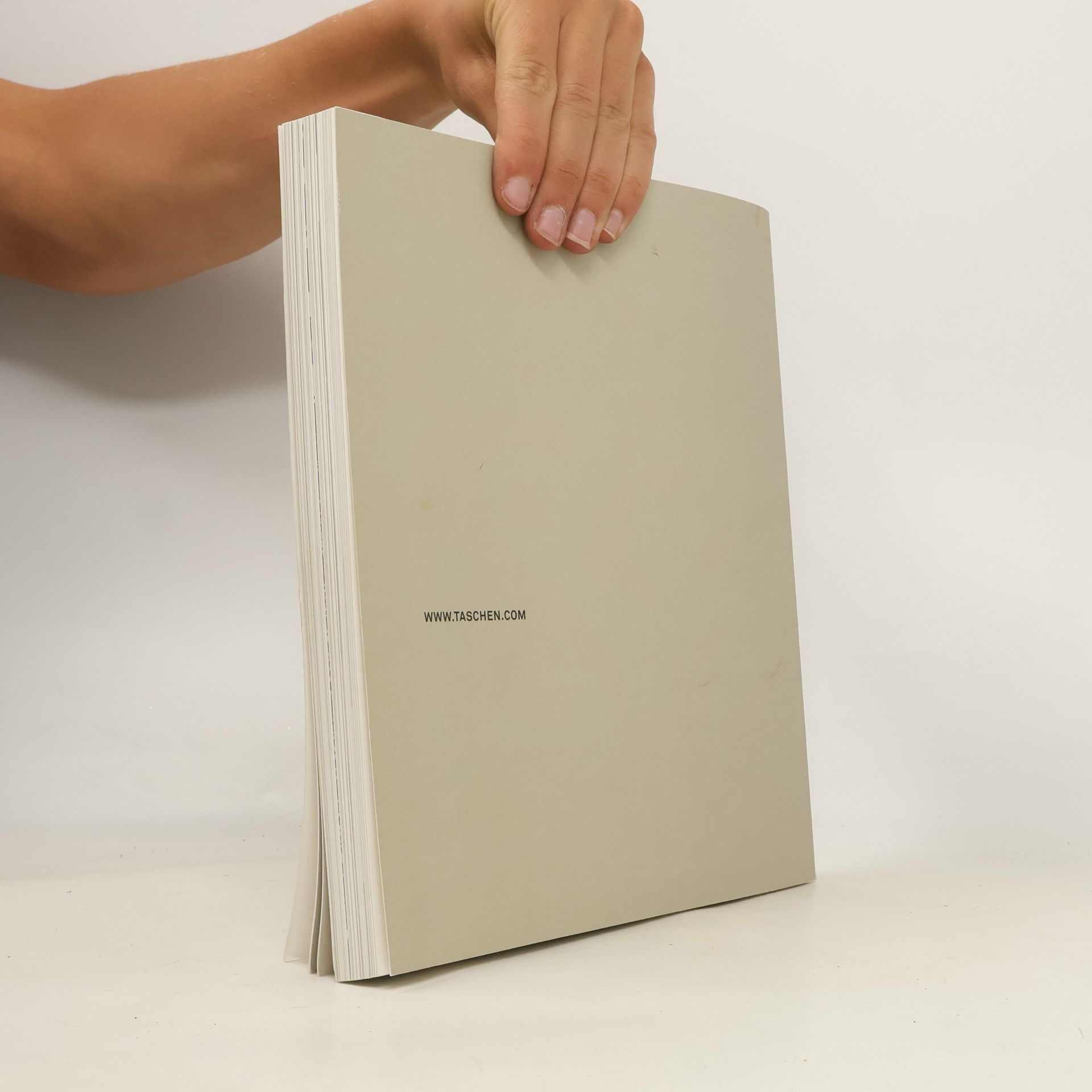 Georg Schöllhammer Documenta 12 Magazine No. 1, 2007 Modernity?