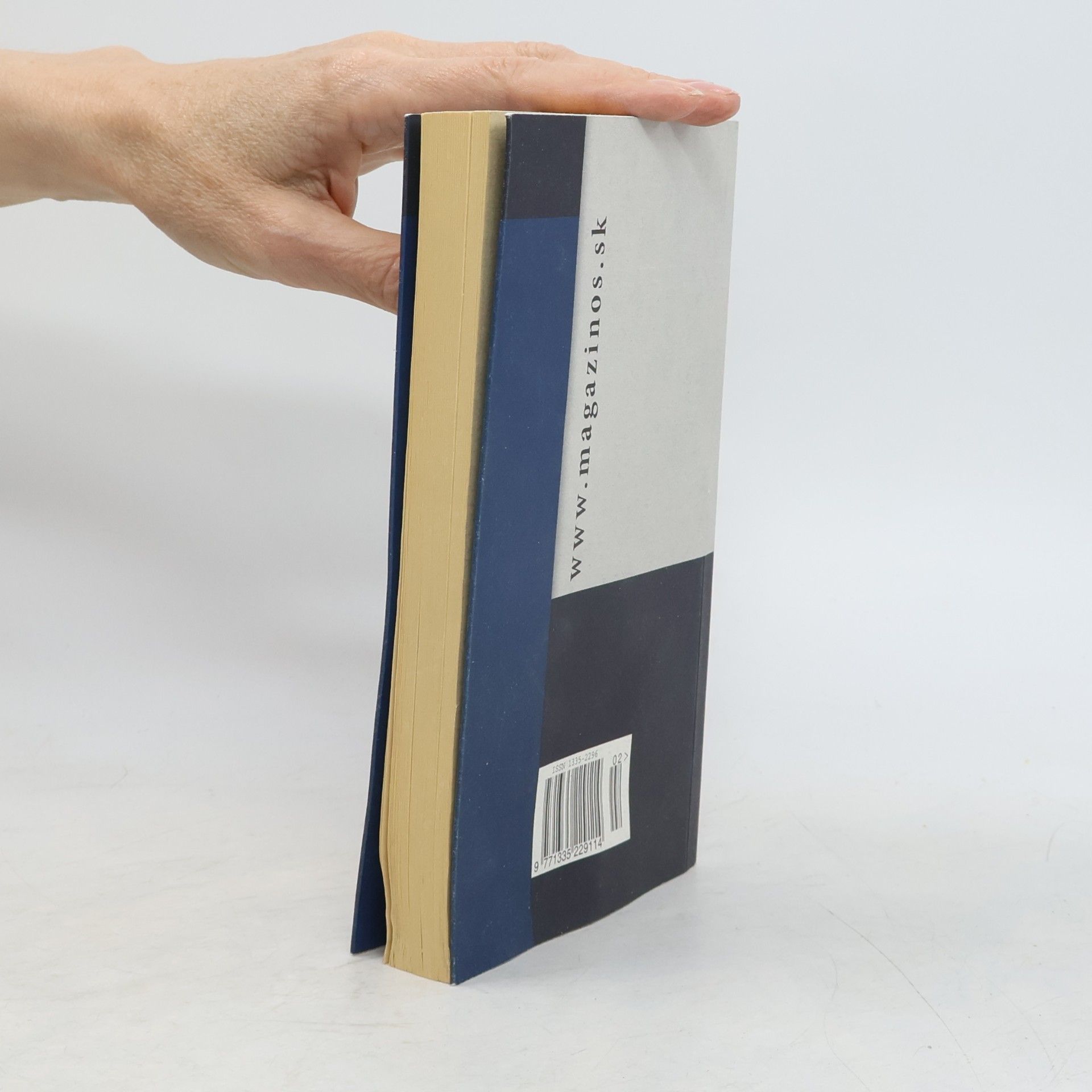 Collectif d'auteurs Mesto v strednej Európe 4