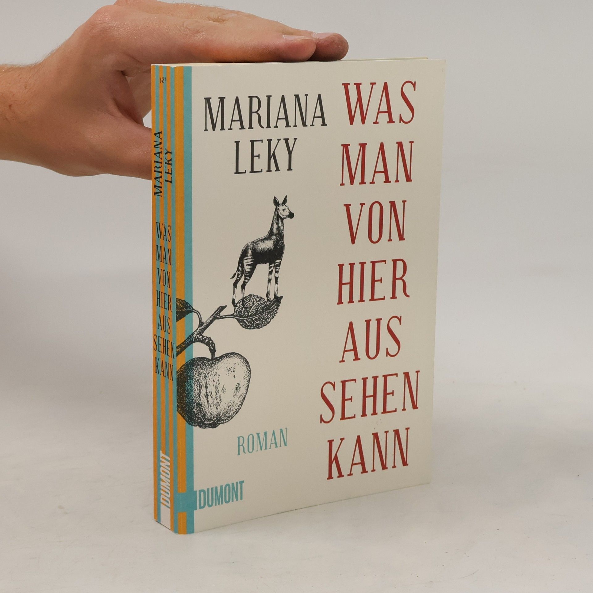 Mariana Leky Was man von hier aus sehen kann