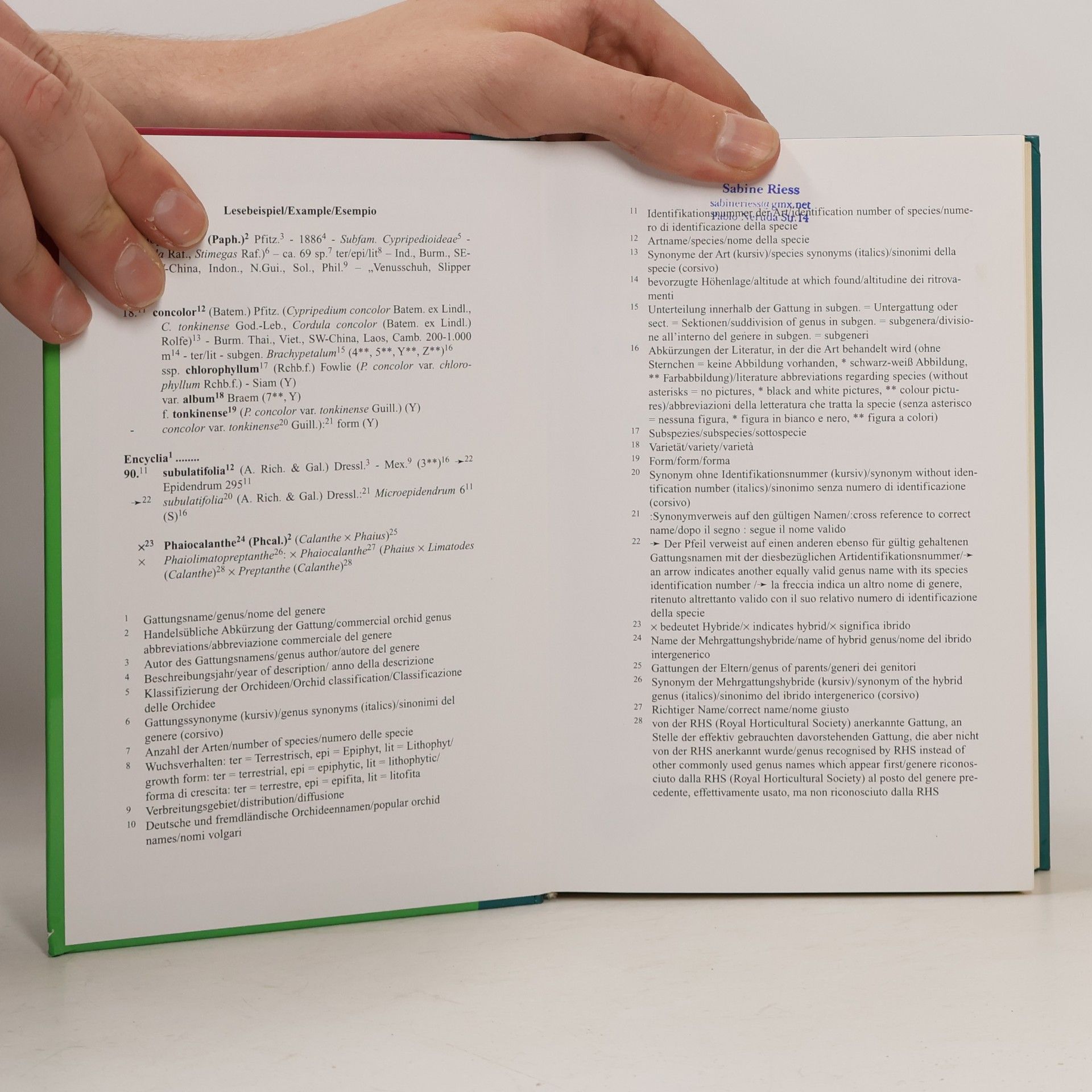 Henrike Berg Panà Handbuch der Orchideen-Namen
