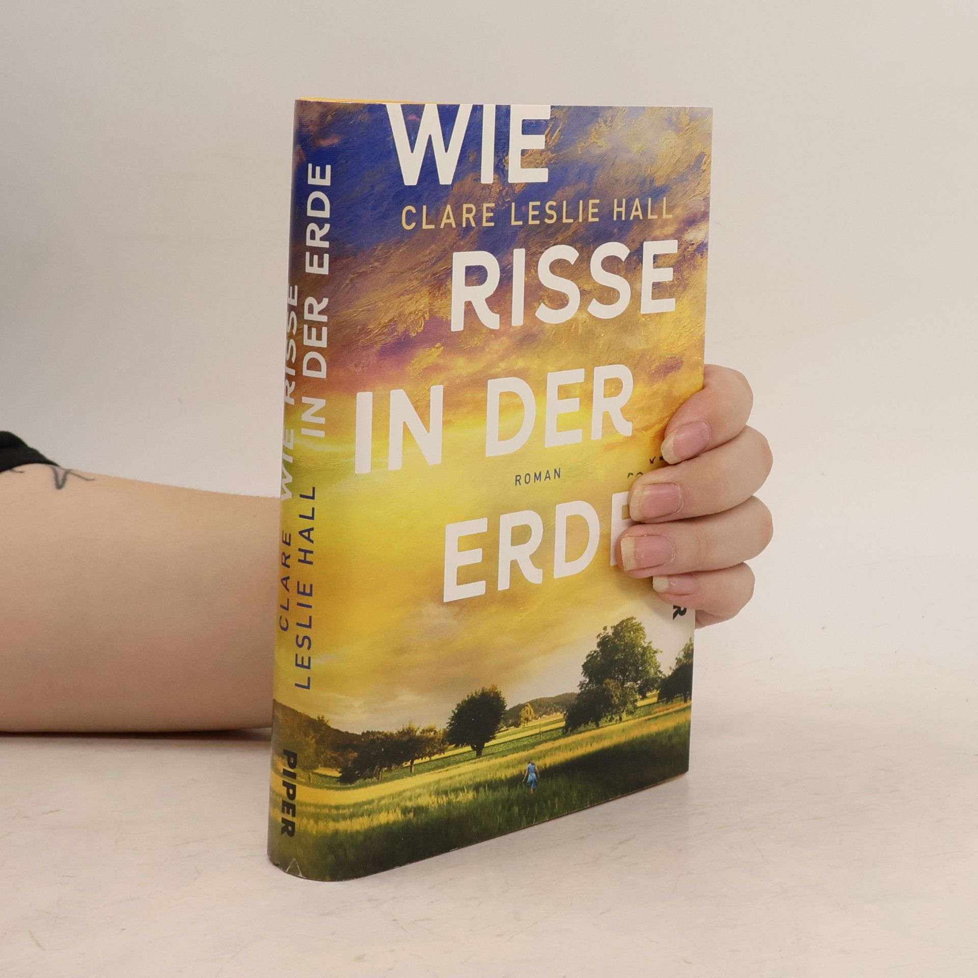 Clare Leslie Hall Wie Risse in der Erde