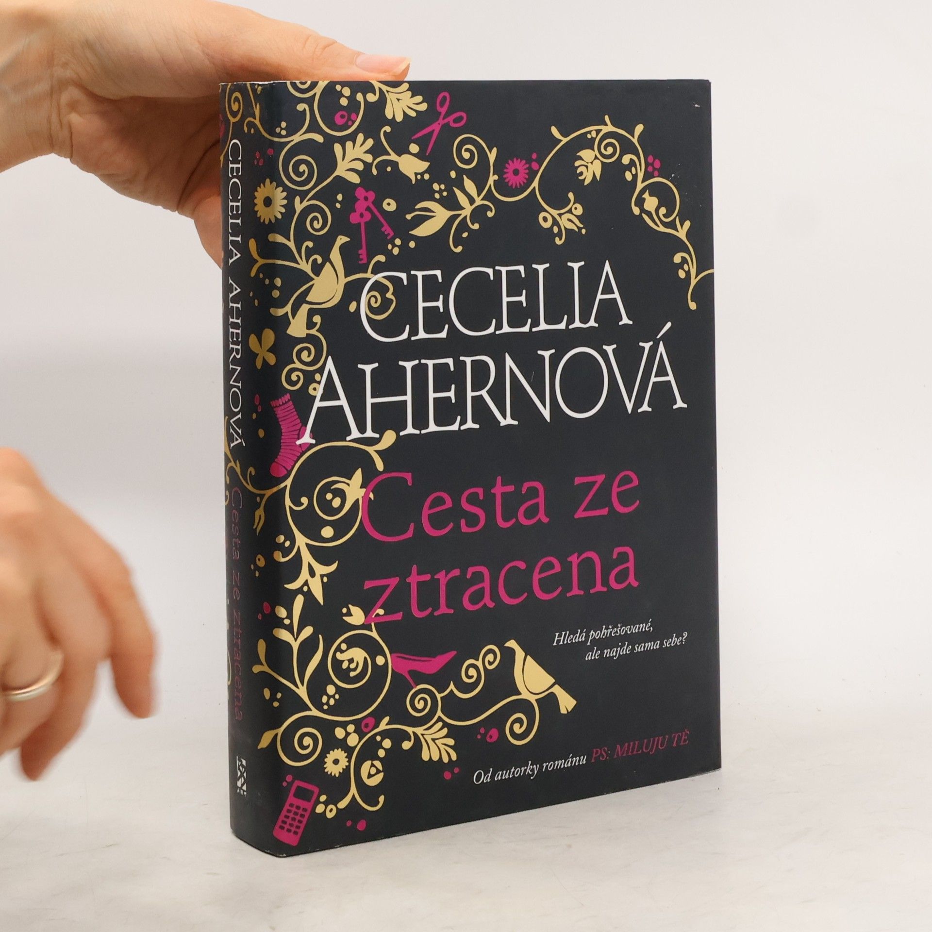 Cecelia Ahern Cesta ze ztracena
