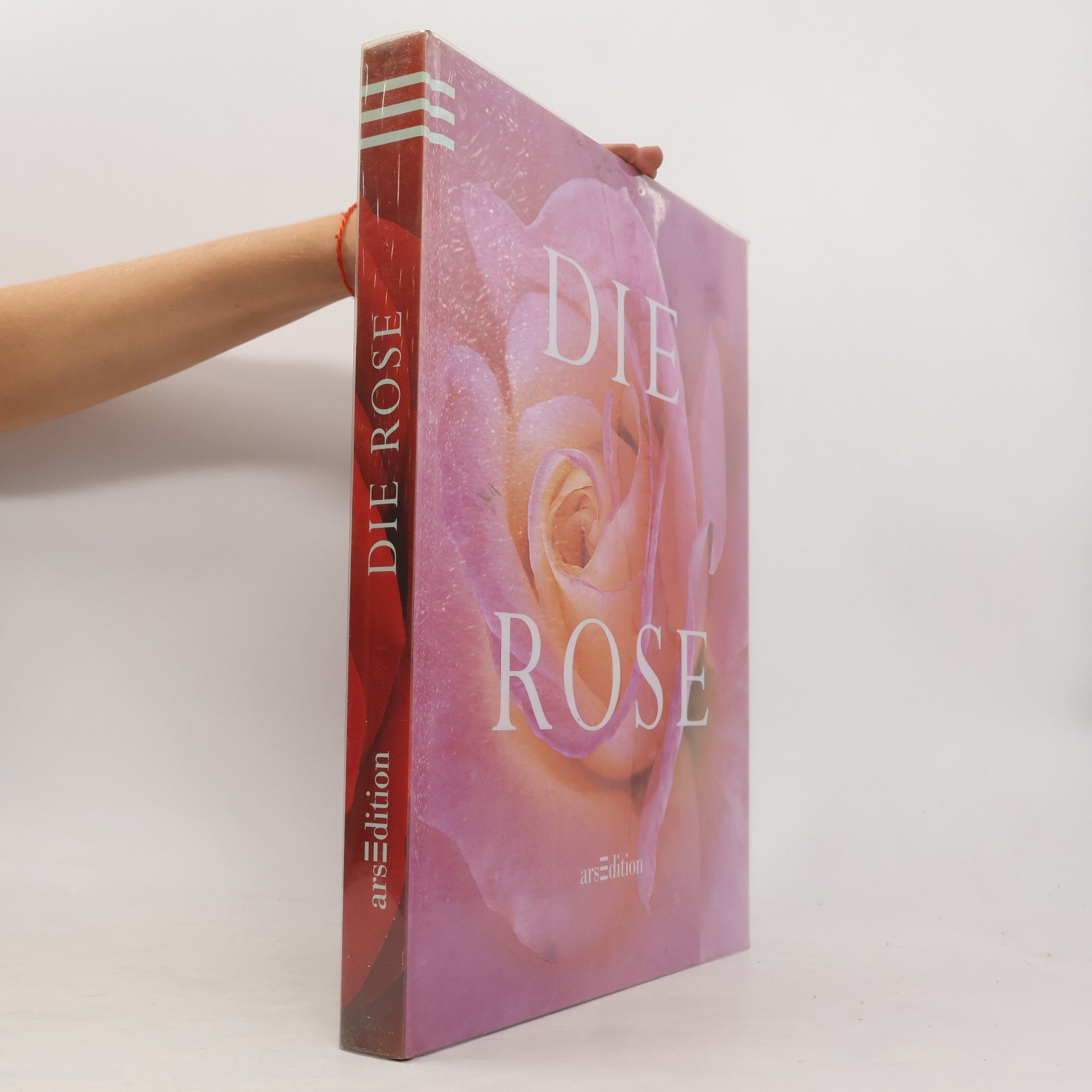 Elke Hesse Die Rose