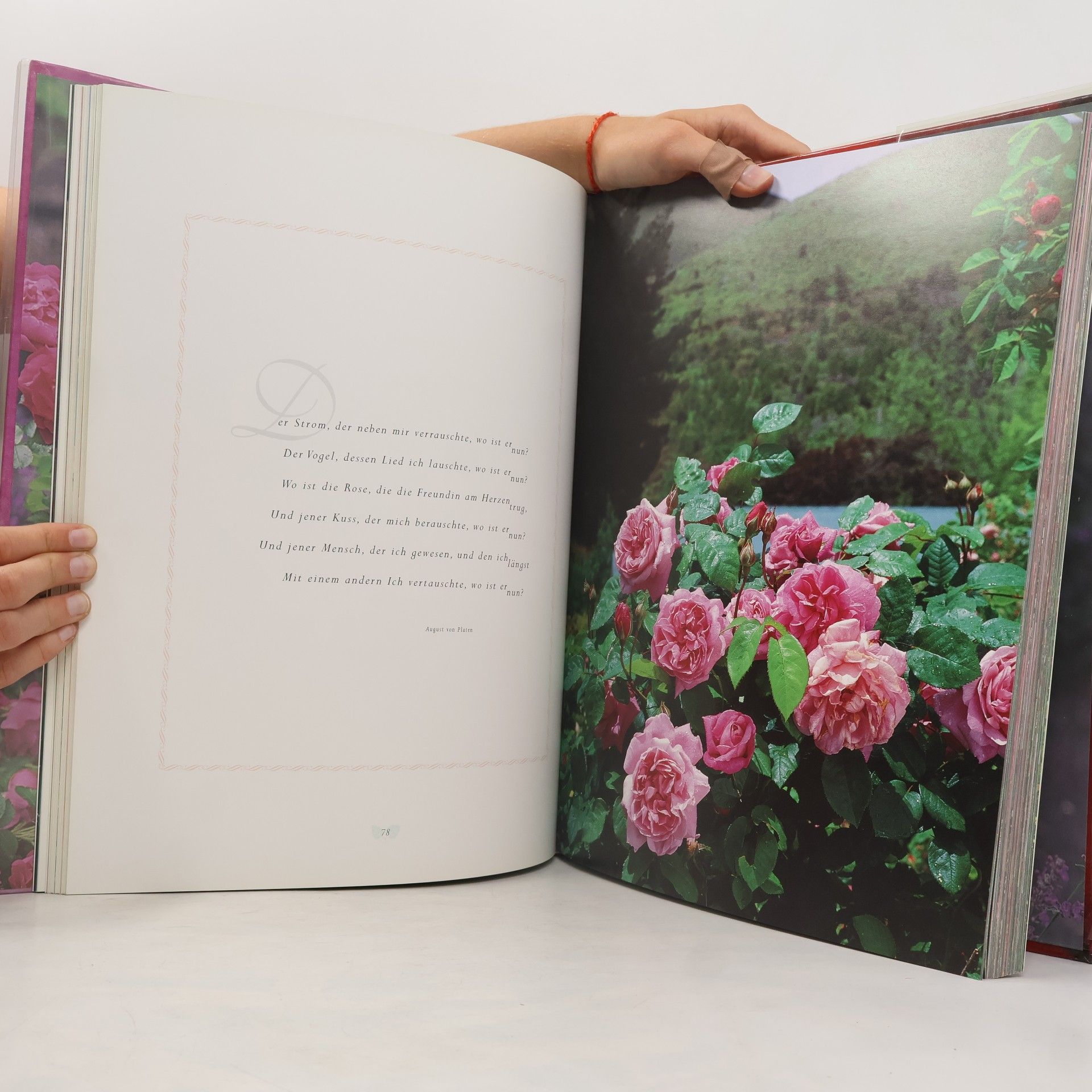 Elke Hesse Die Rose