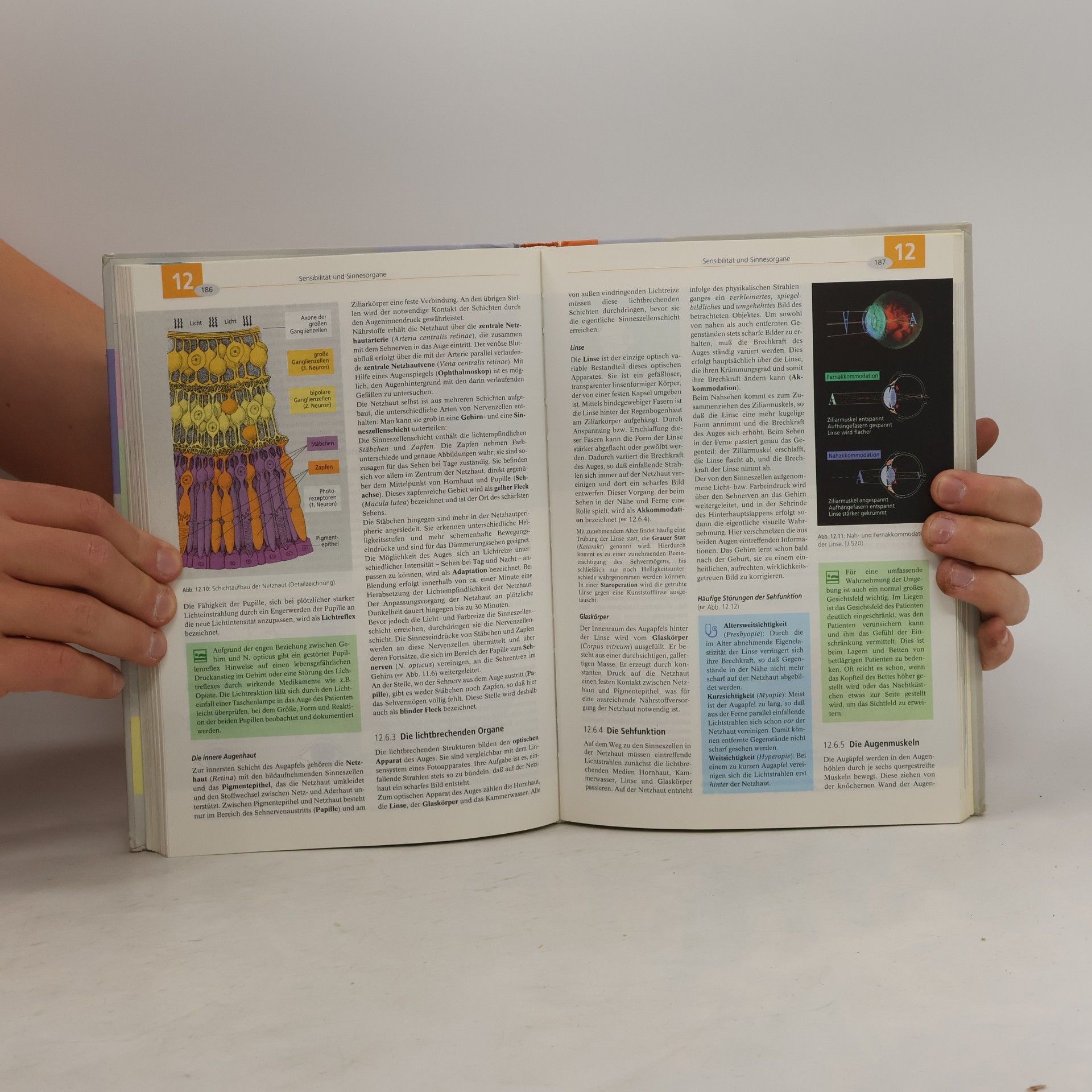 Arne Schäffler Biologie, Anatomie, Physiologie. Kompaktes Lehrbuch für die Pflegeberufe