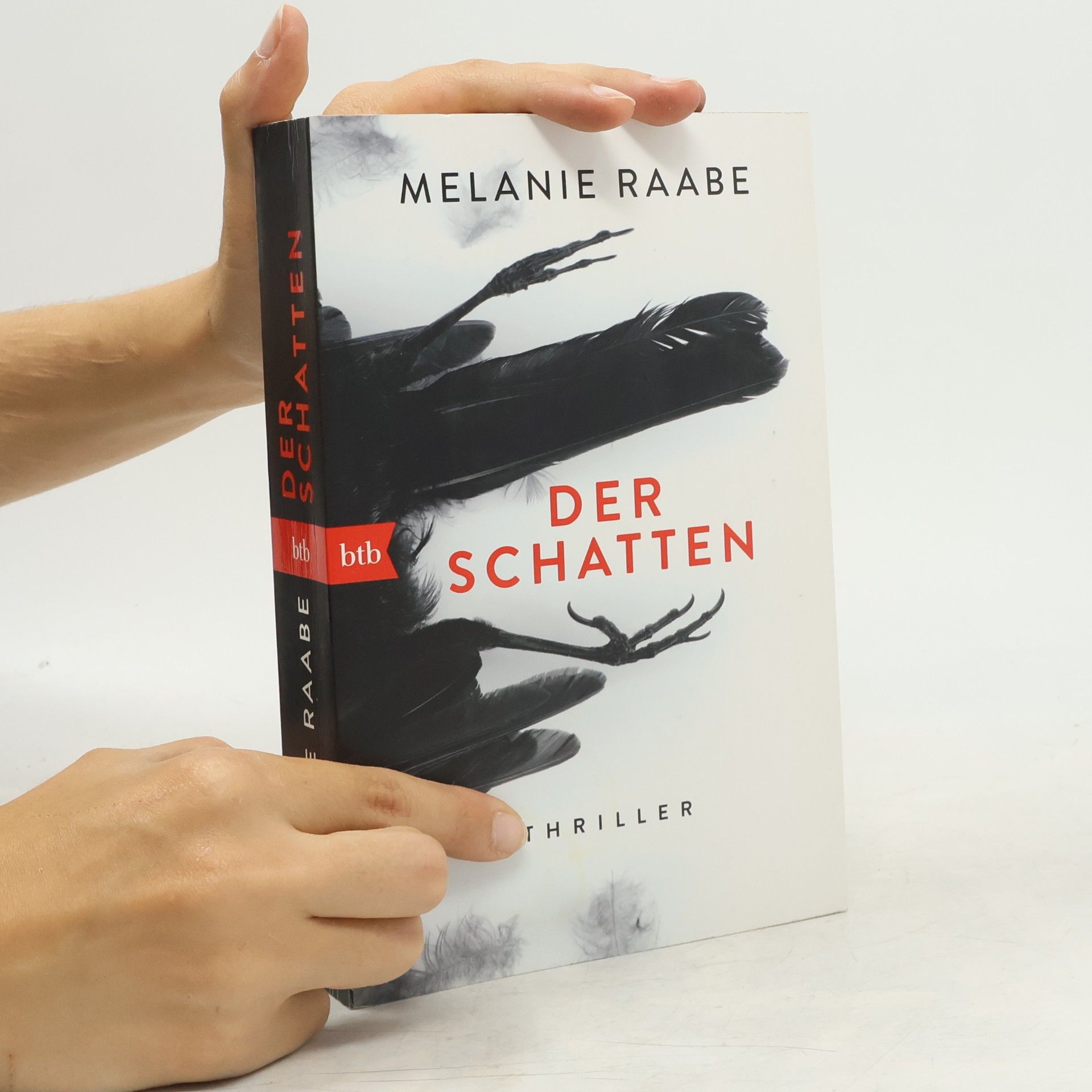Melanie Raabe Der Schatten
