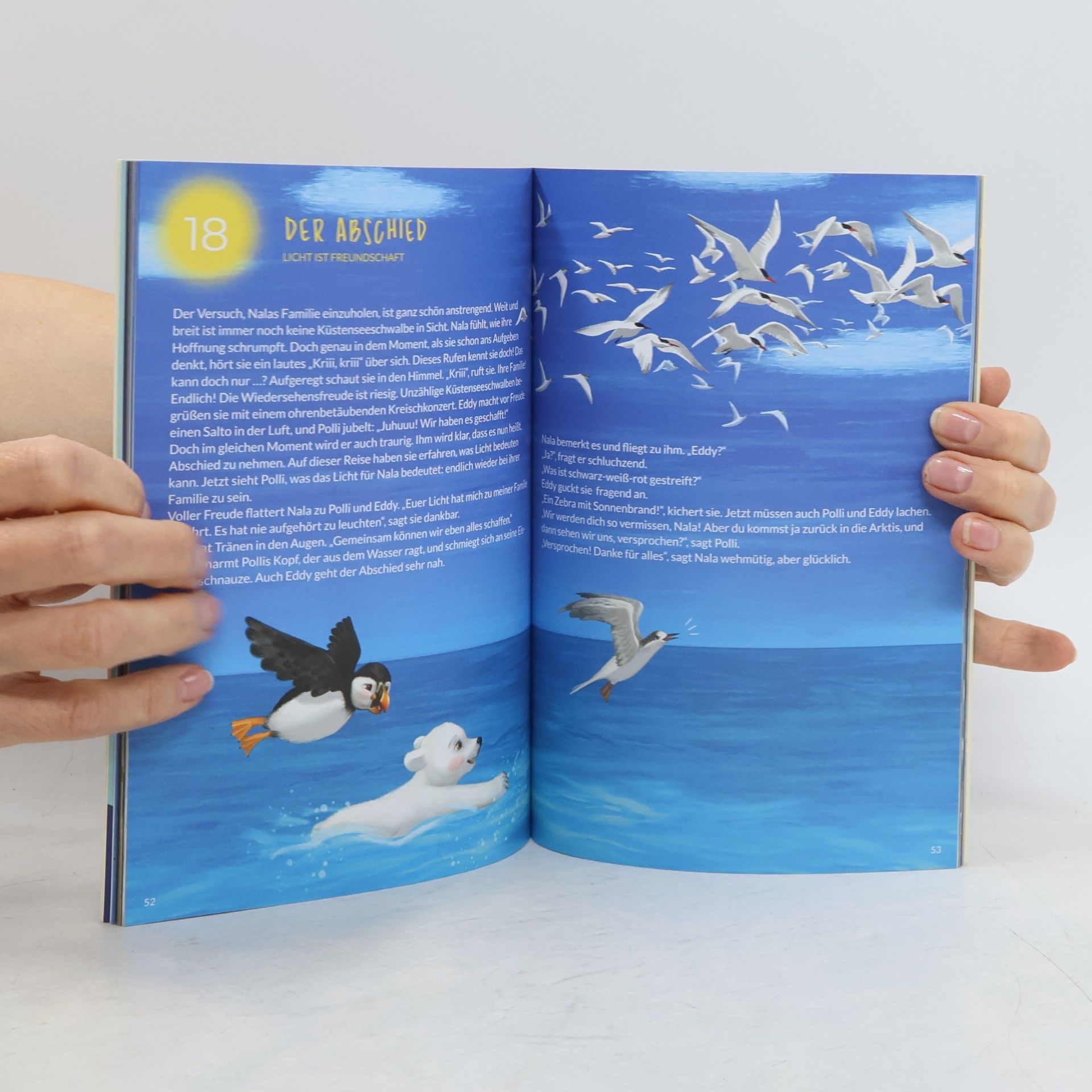 Autores varios Weltretter Bande 24. Polli auf der Suche nach dem Licht
