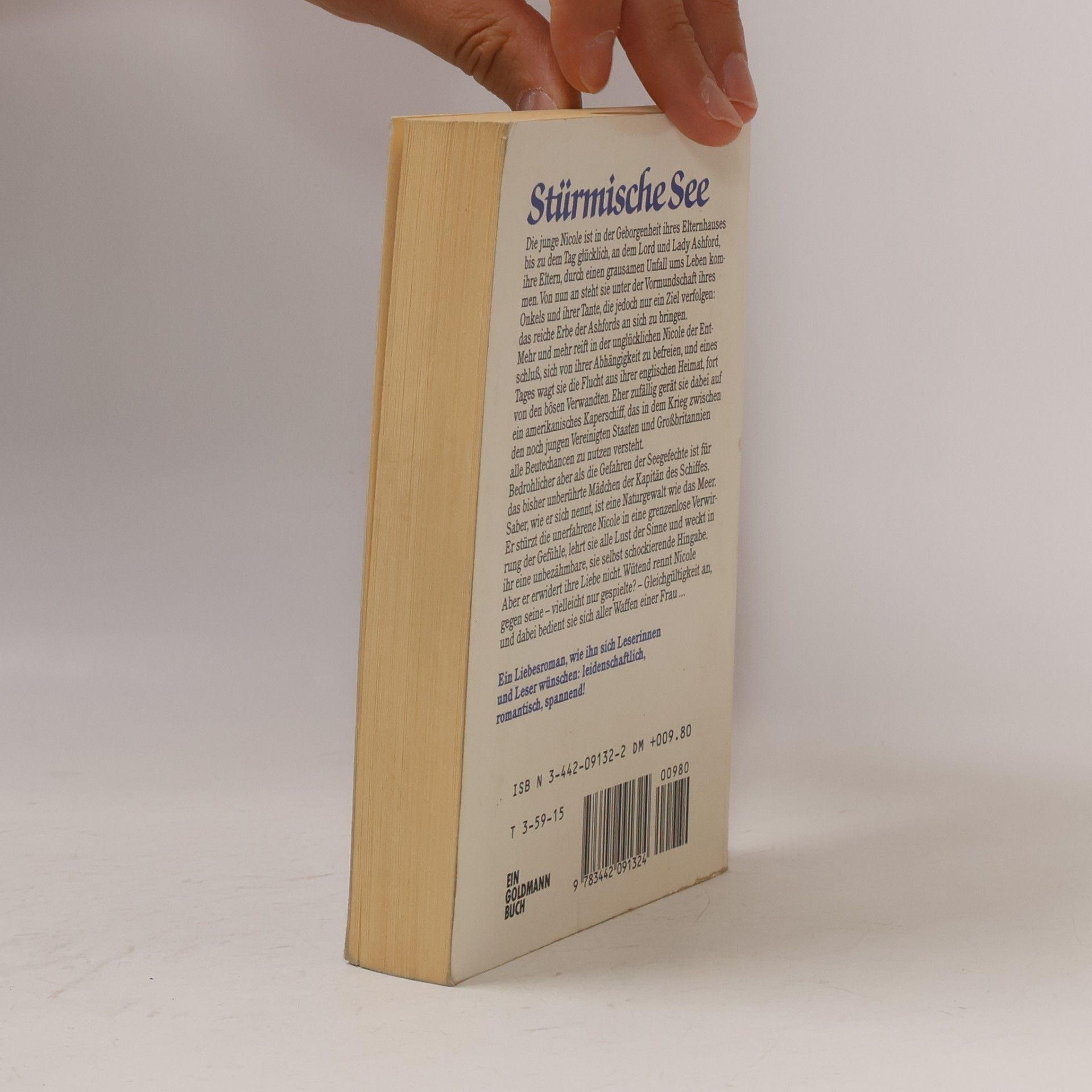 Shirlee Busbee Stürmische See