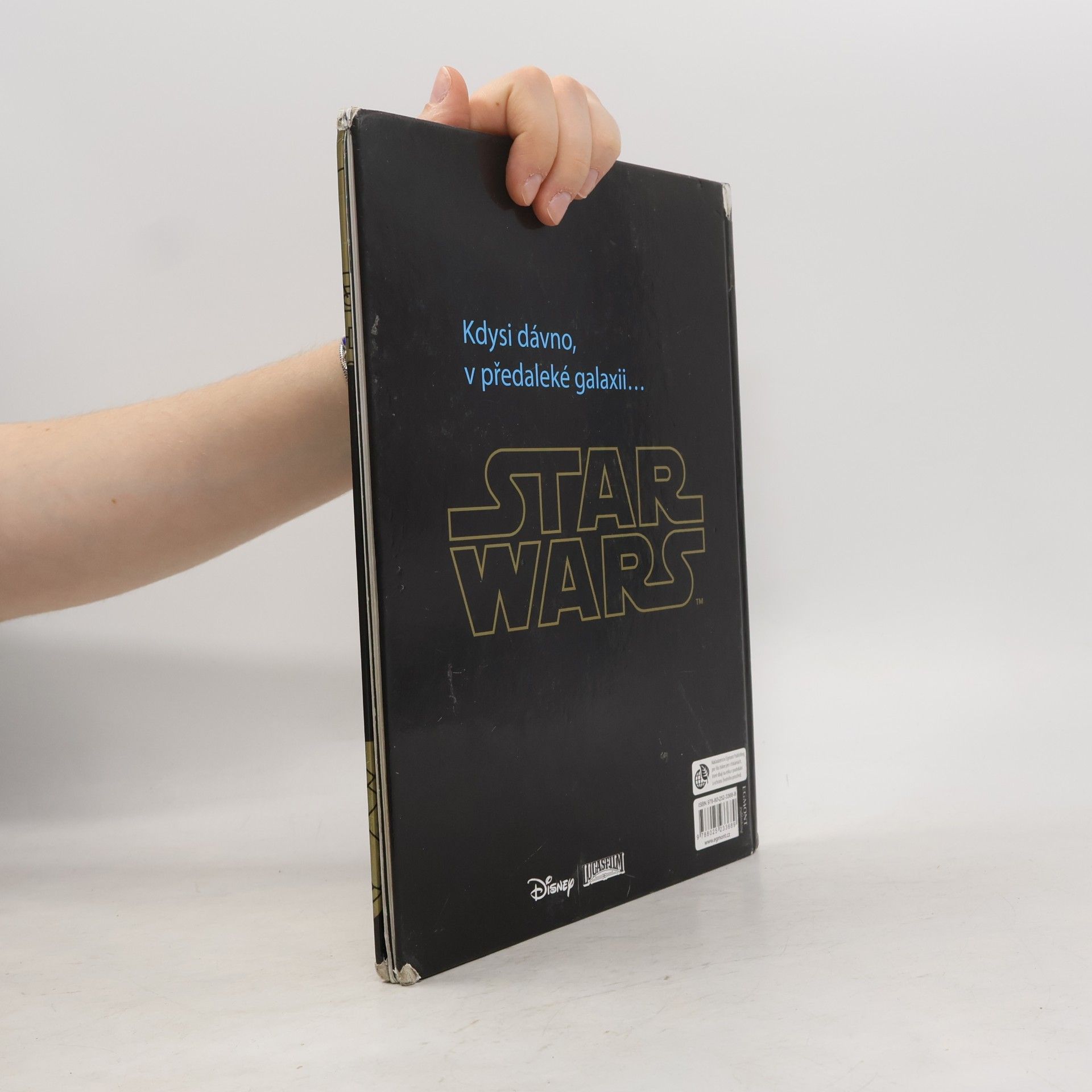 Walt Disney Star Wars - Knížka na celý rok