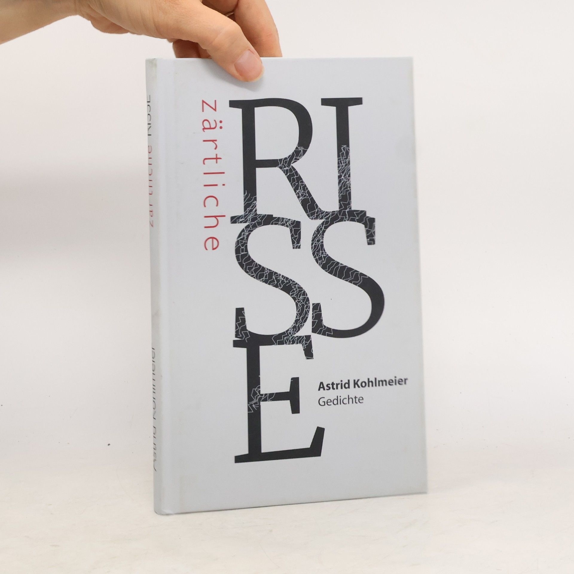 Astrid Kohlmeier Zärtliche Risse