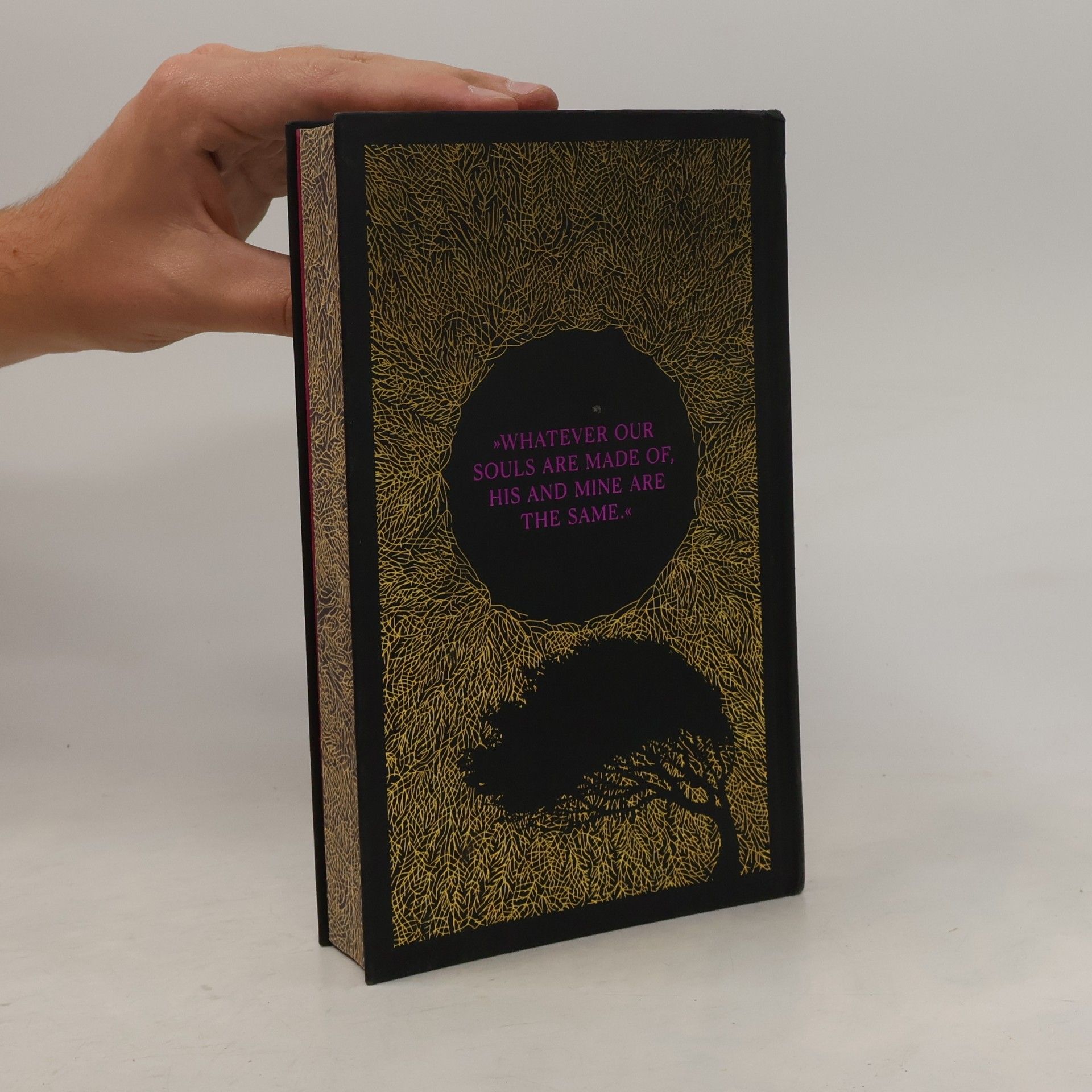Emily Brontë Timeless Classics by Insel: Wuthering Heights
